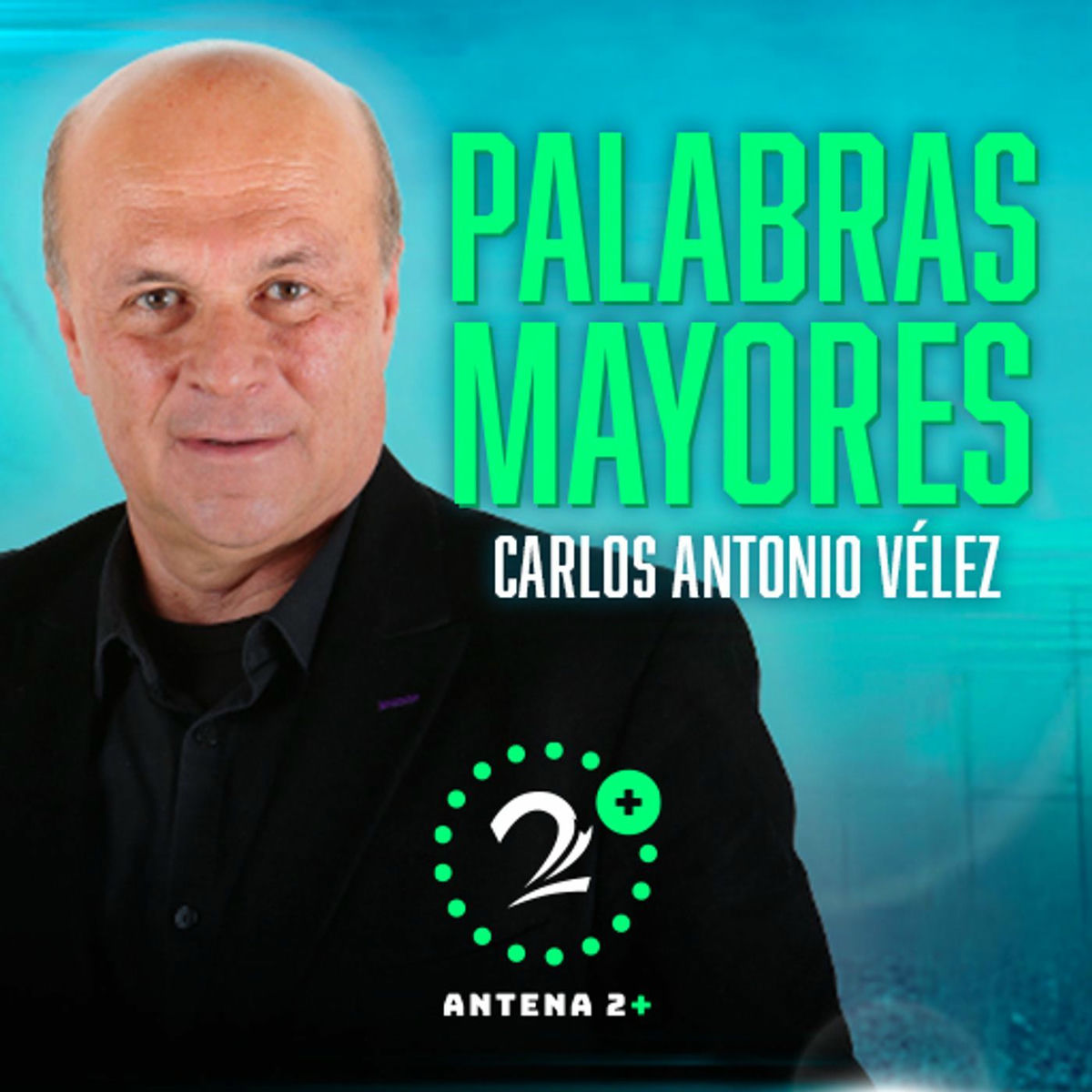 Show cover of Palabras Mayores
