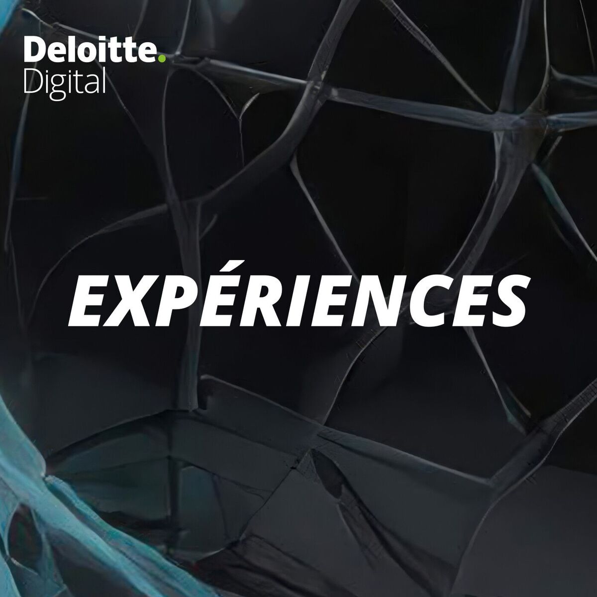 Show cover of EXPERIENCES