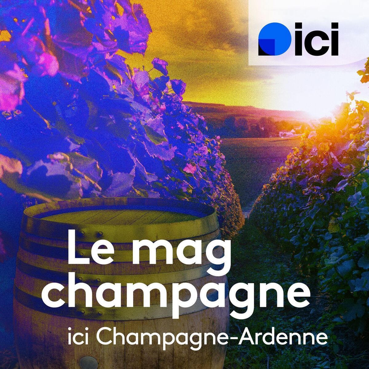 Show cover of Le mag champagne, ici Champagne-Ardenne