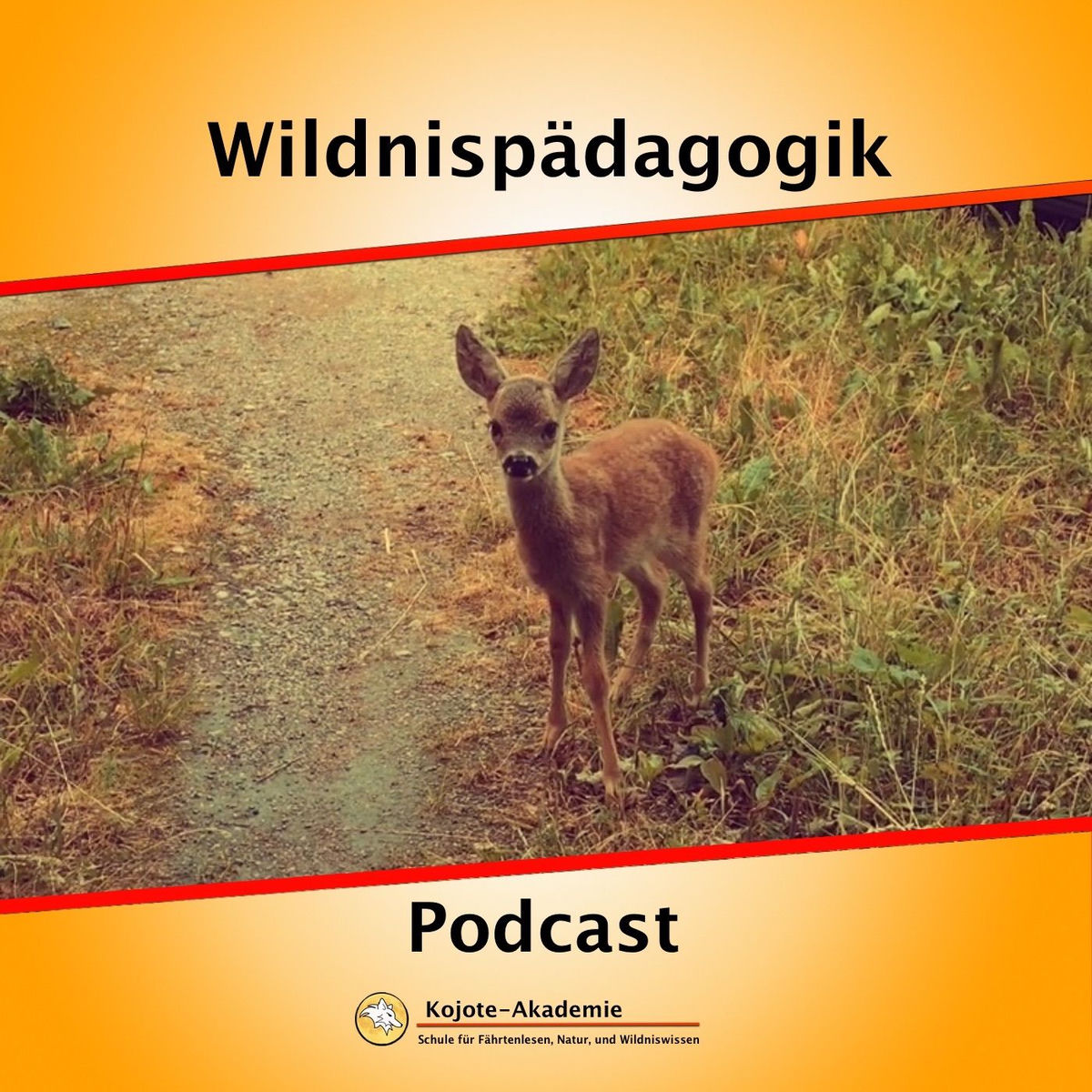 Show cover of Wildnispädagogik