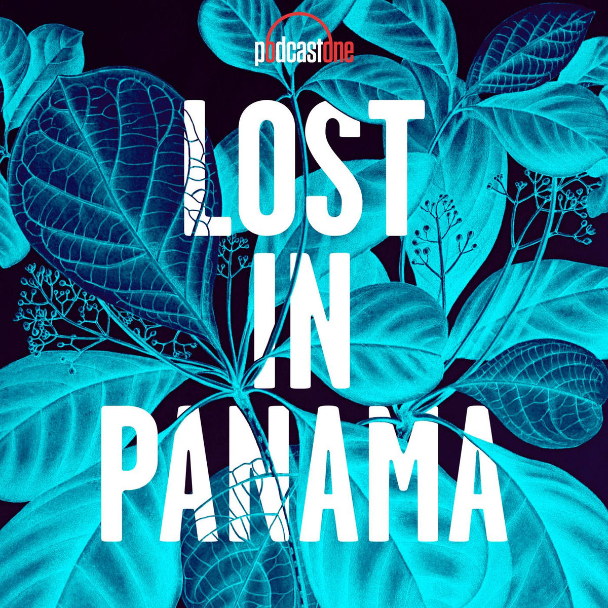 Show cover of Lost In Panama
