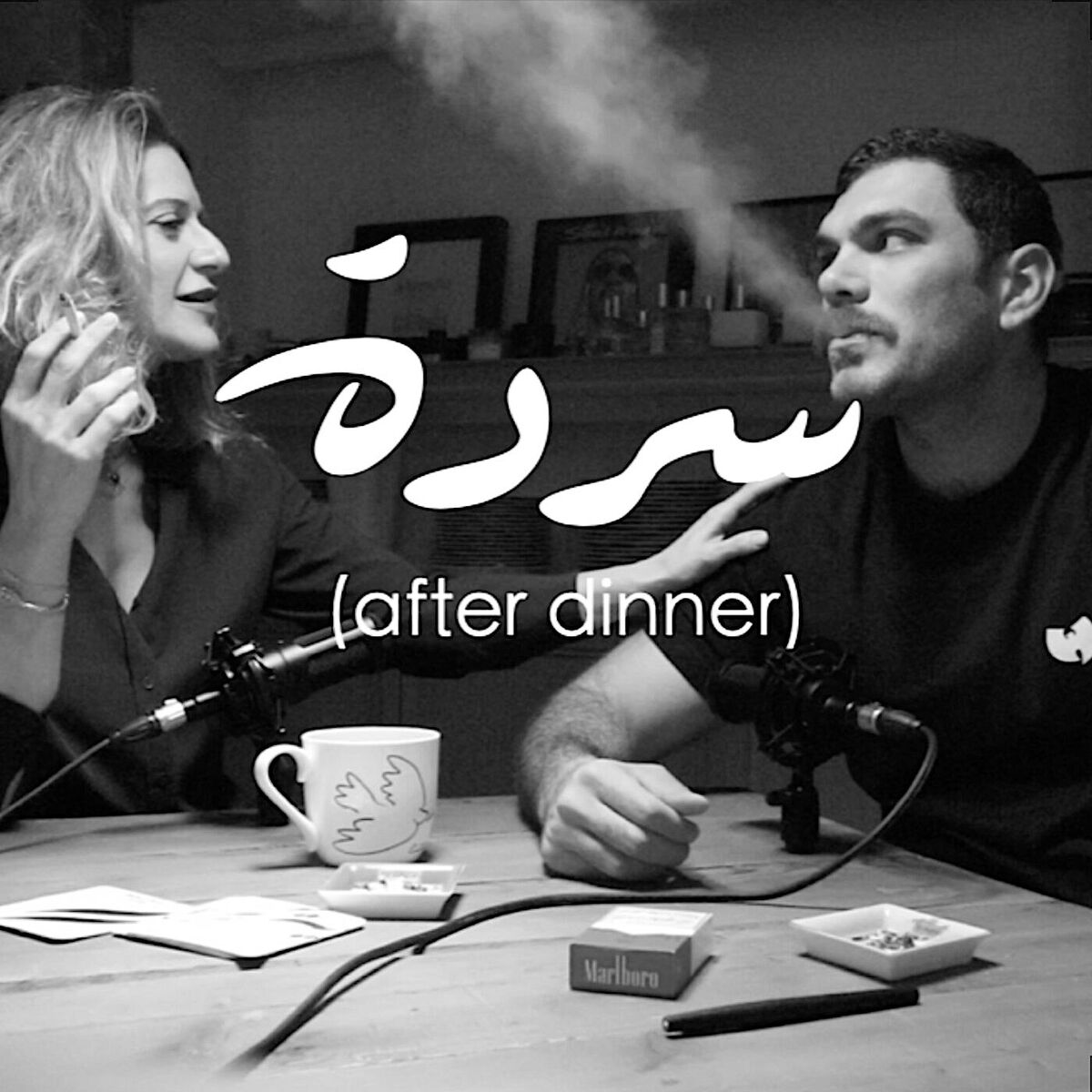 Show cover of Sarde After Dinner Podcast