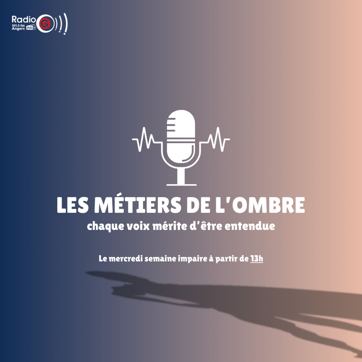 Show cover of Les métiers de l'ombre