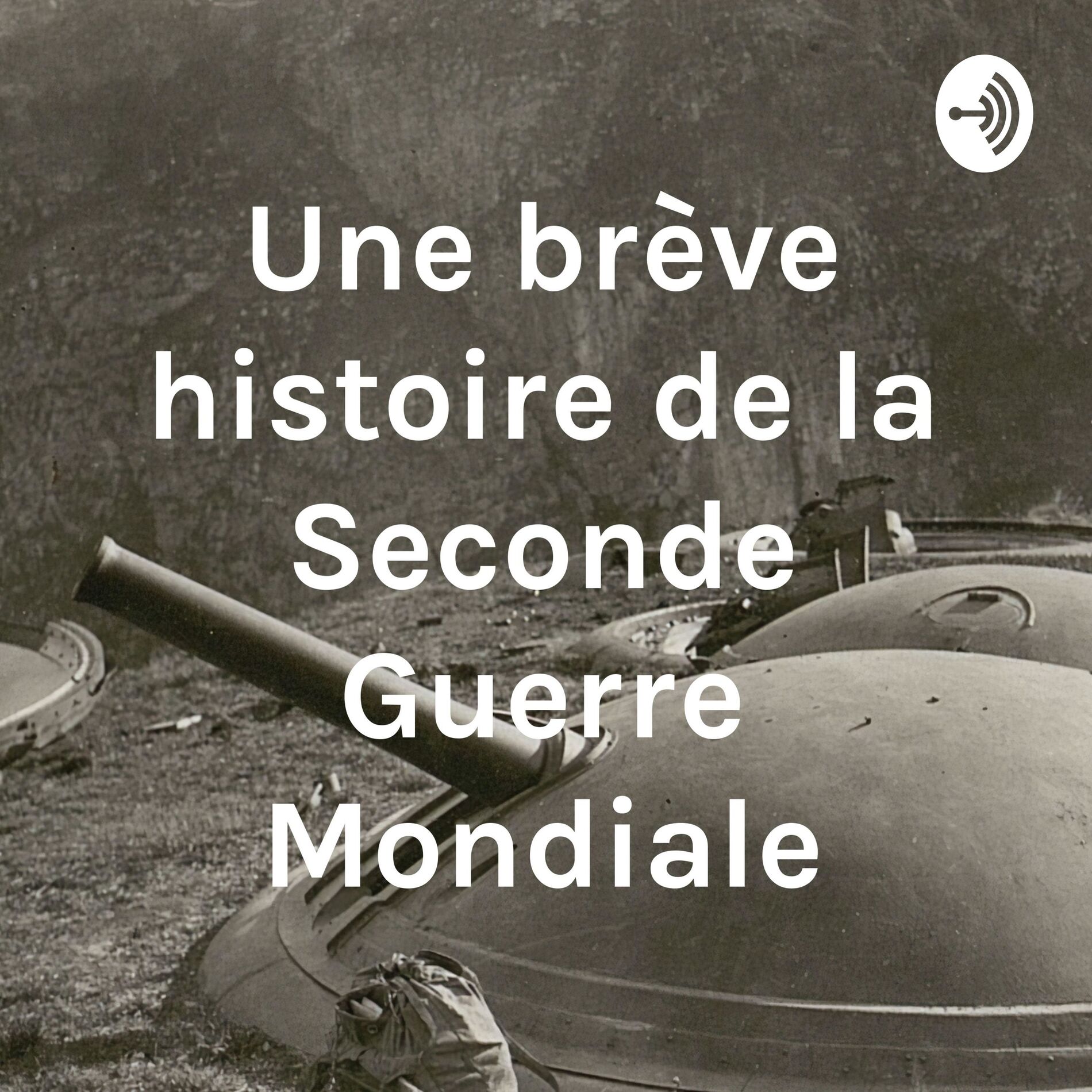 Show cover of Une brève histoire de la Seconde Guerre Mondiale