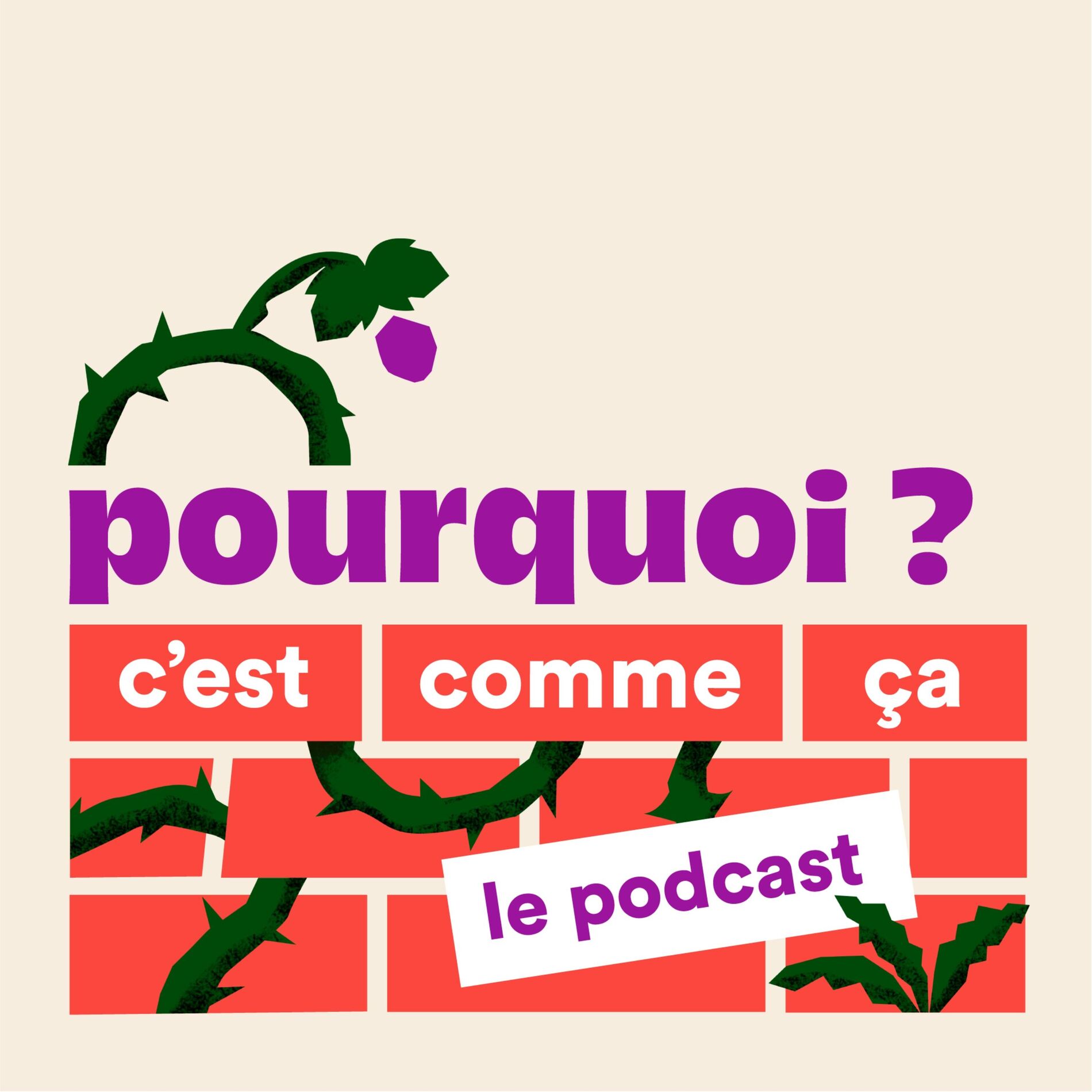 Show cover of Pourquoi c'est comme ça ?