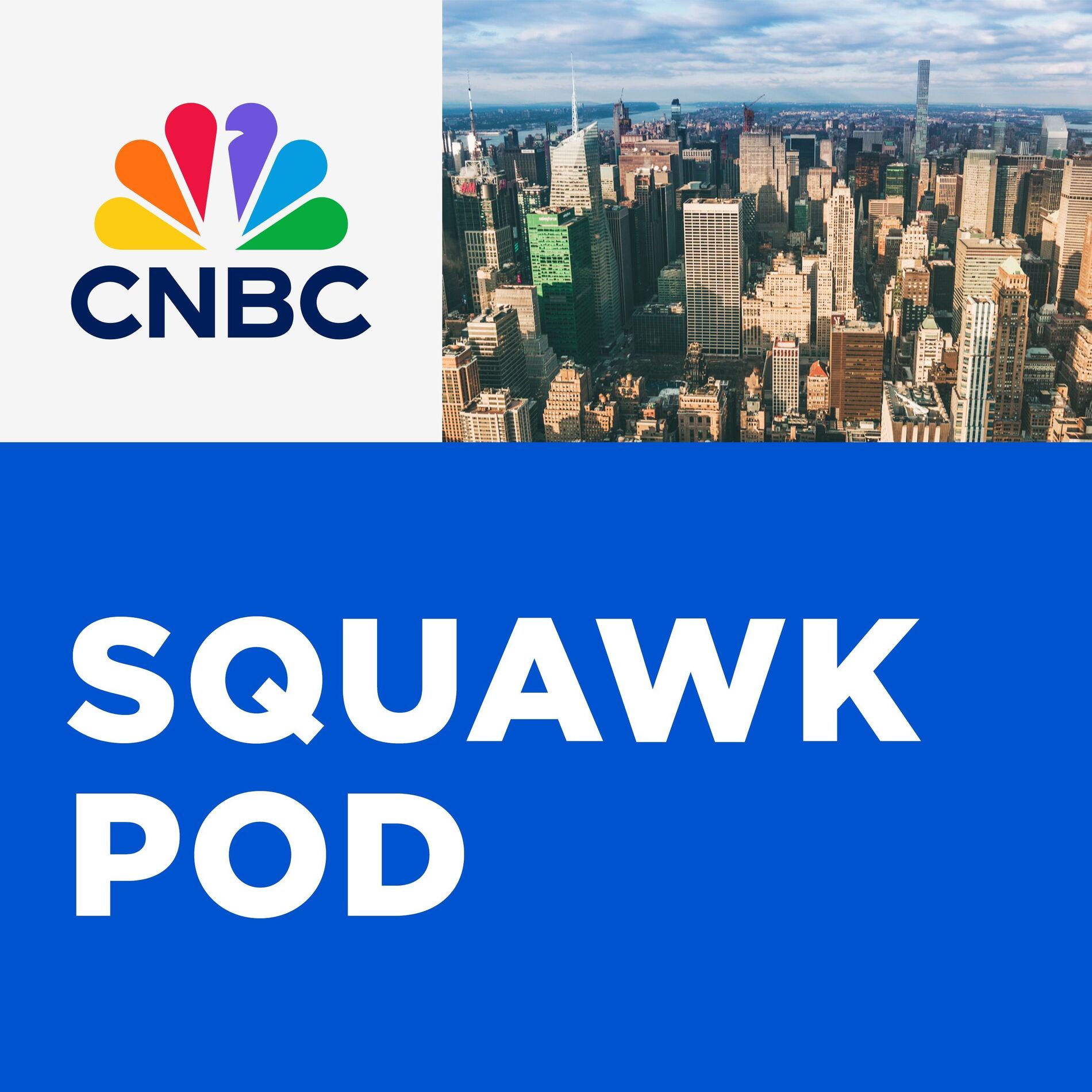 Show cover of Squawk Pod