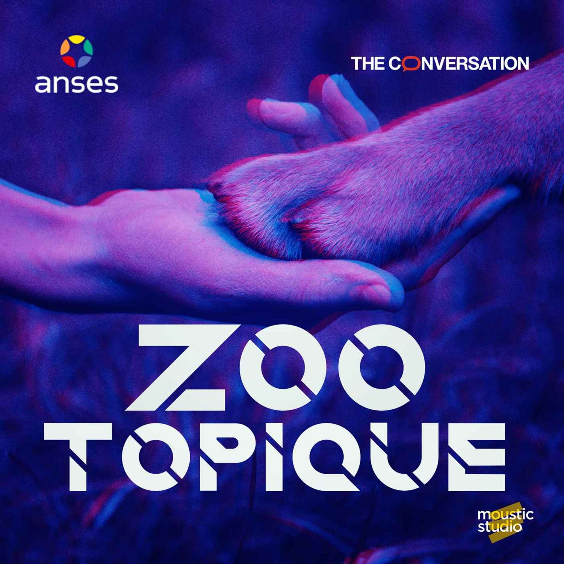 Show cover of Zootopique