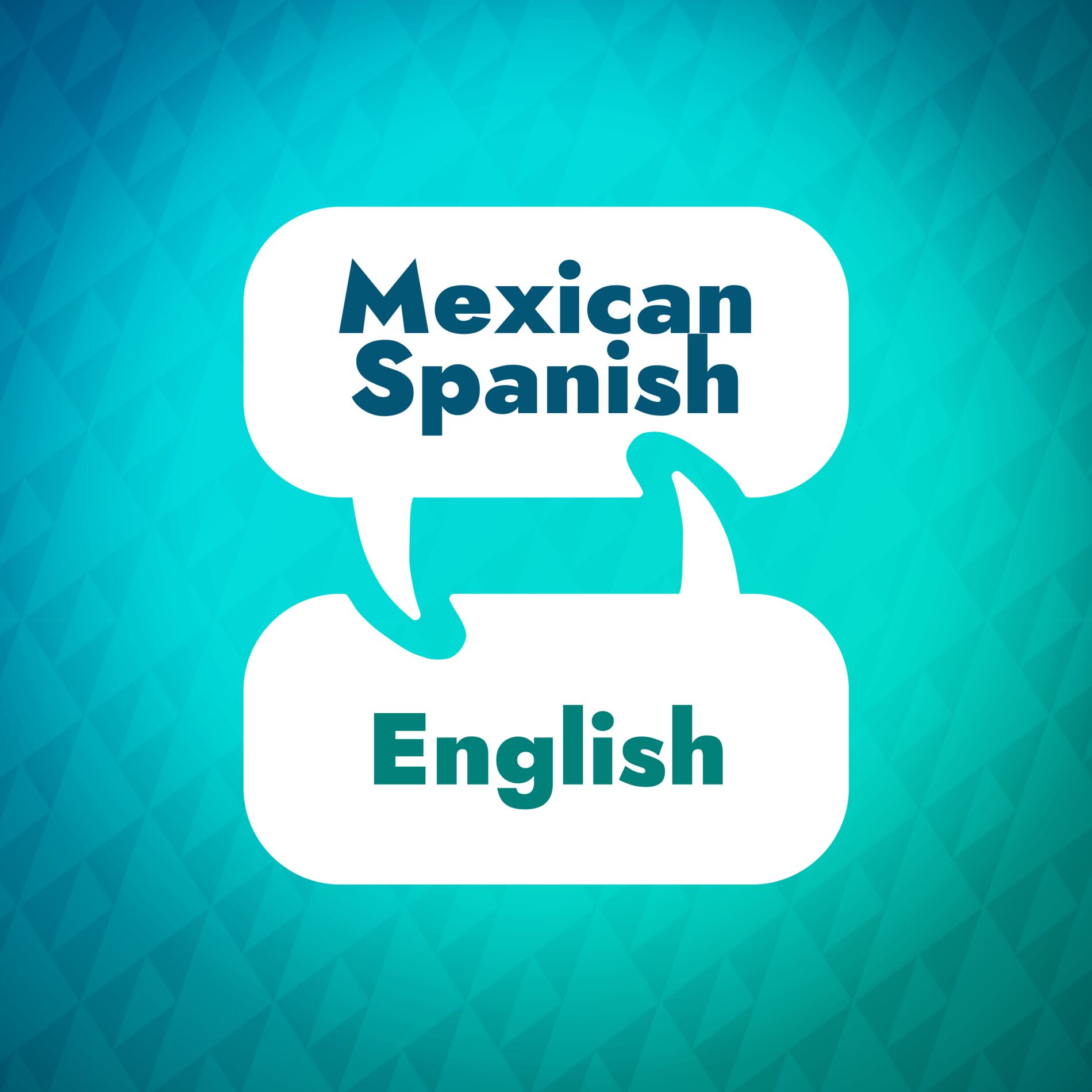 Show cover of Spanish Learning Accelerator