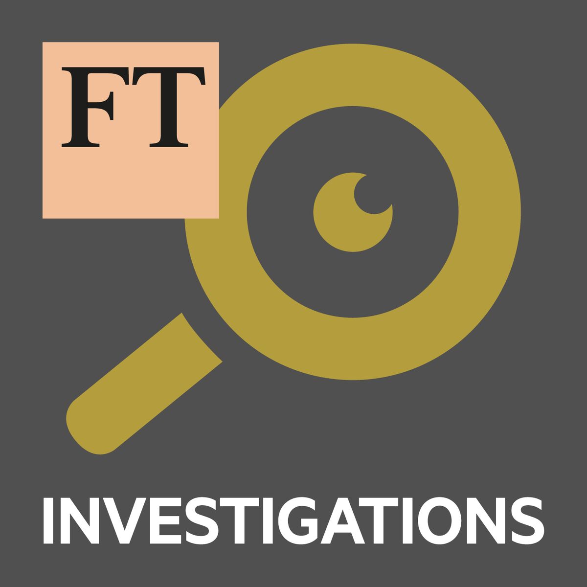 Show cover of FT Investigations