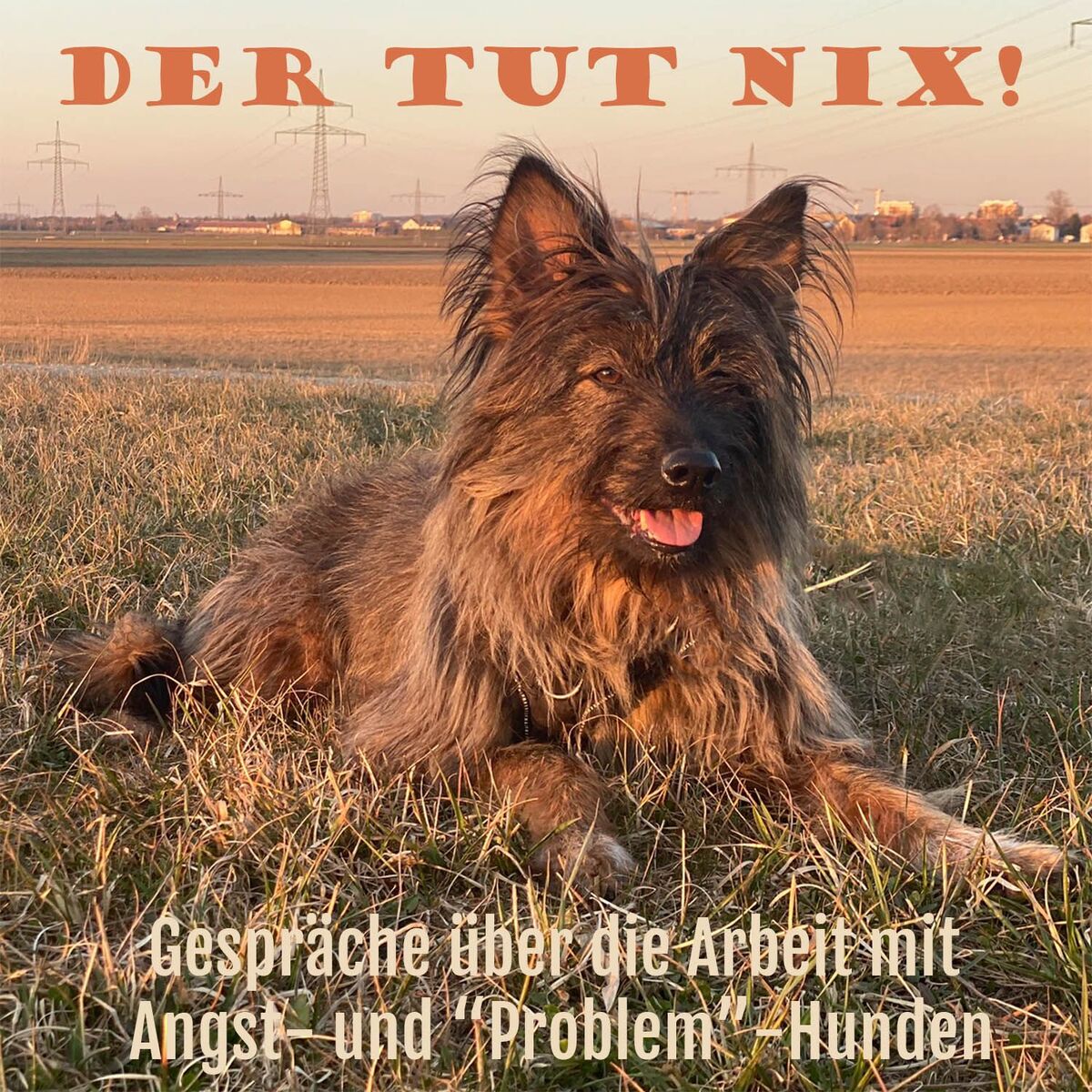 Show cover of Der Tut Nix!