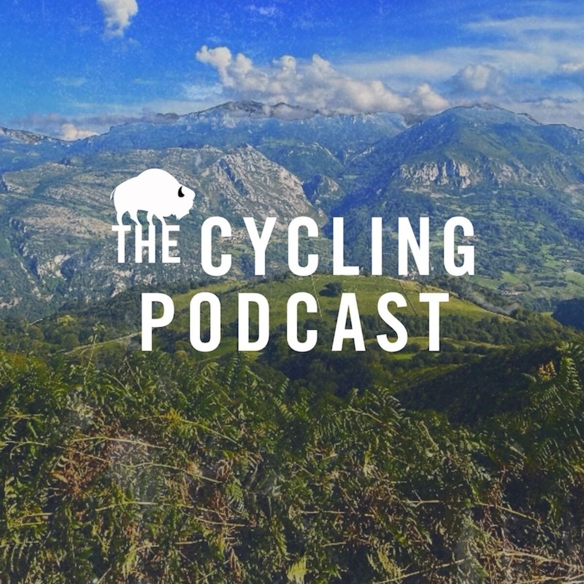 Show cover of The Cycling Podcast