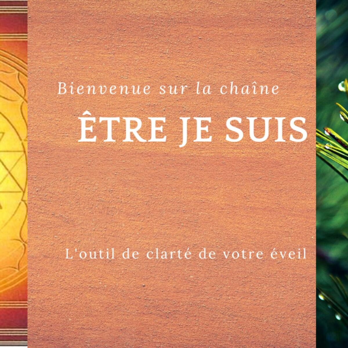 Show cover of Avoir de l'amour, Faire l'amour et Être en amour