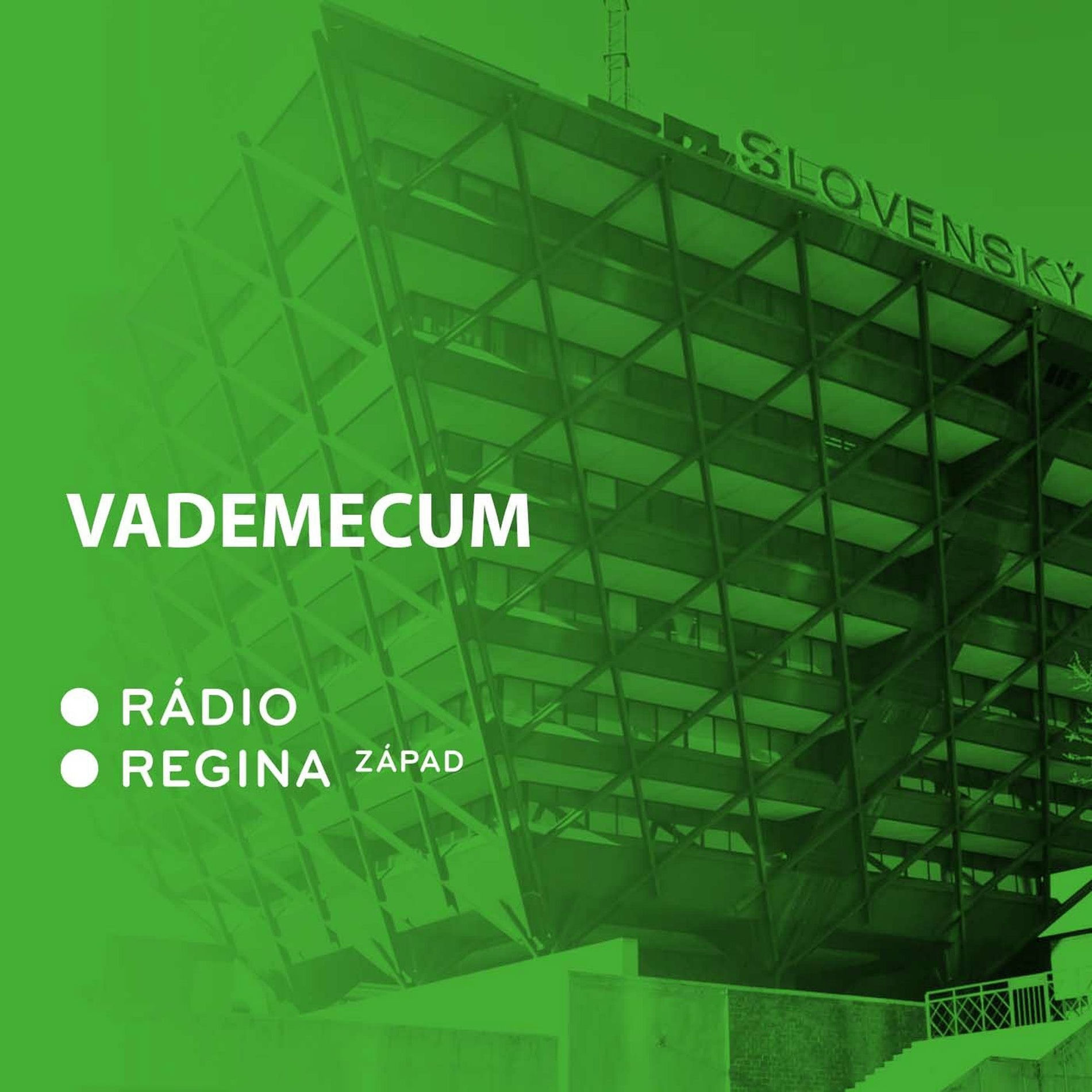 Show cover of Vademecum