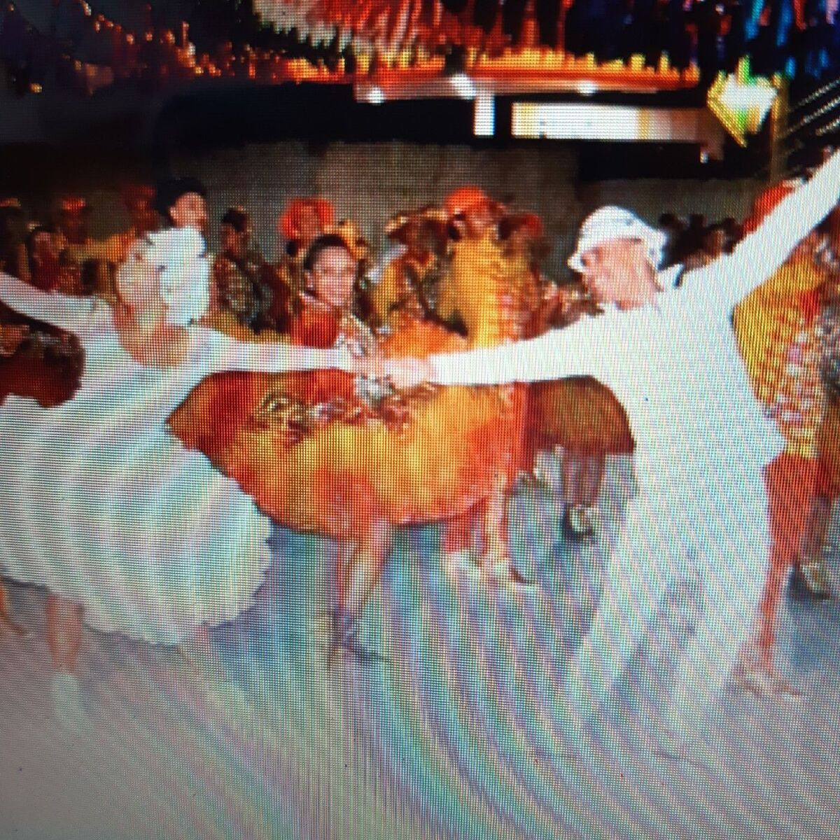Show cover of Quadrilha, Sanfona, fogueira...