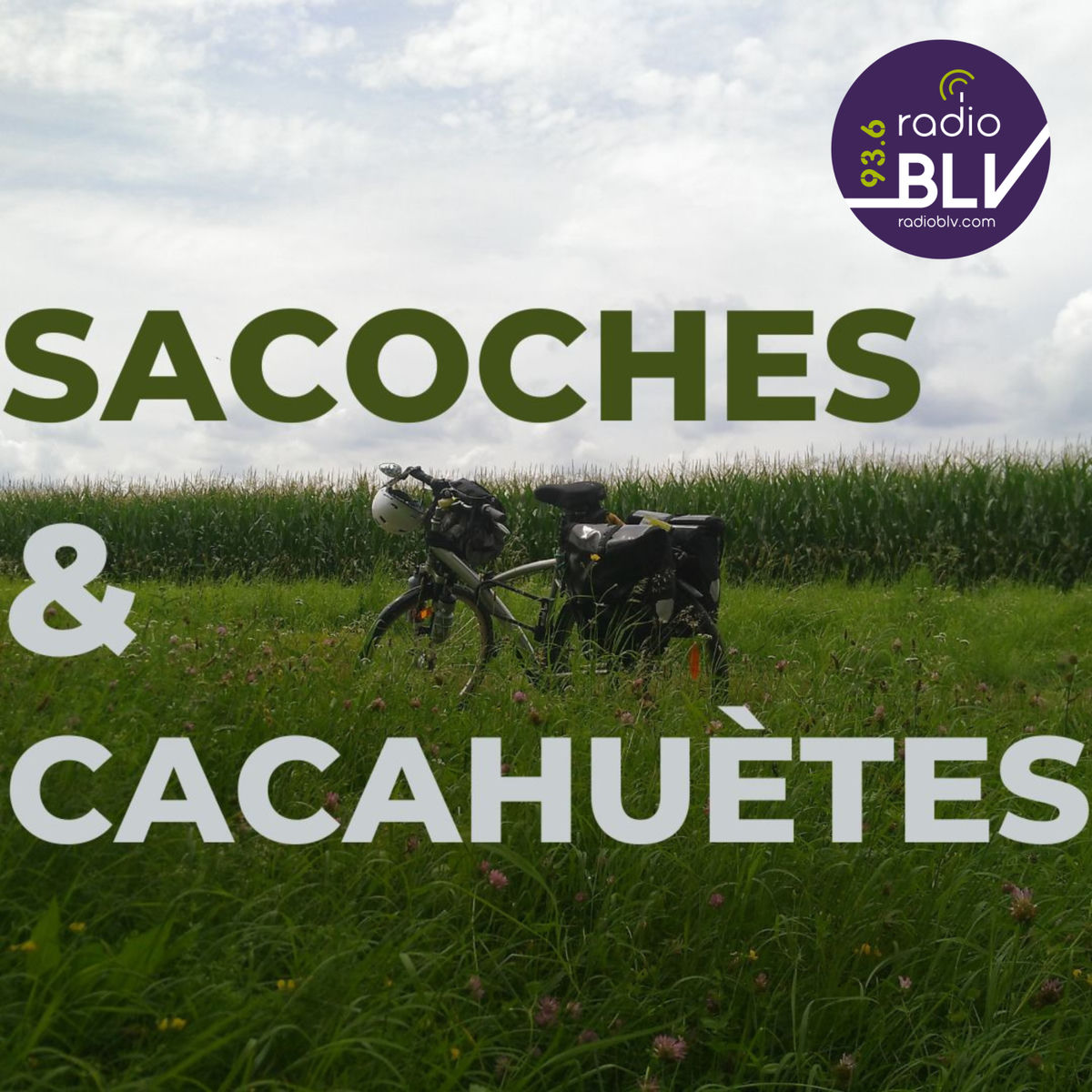 Show cover of Sacoches et cacahuètes