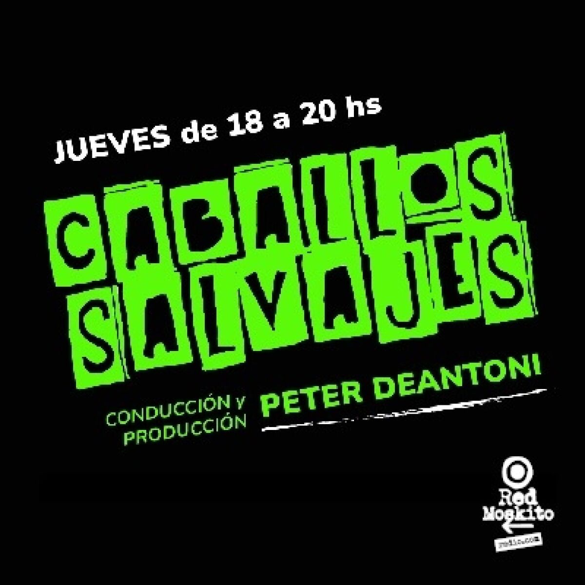 Show cover of Caballos Salvajes