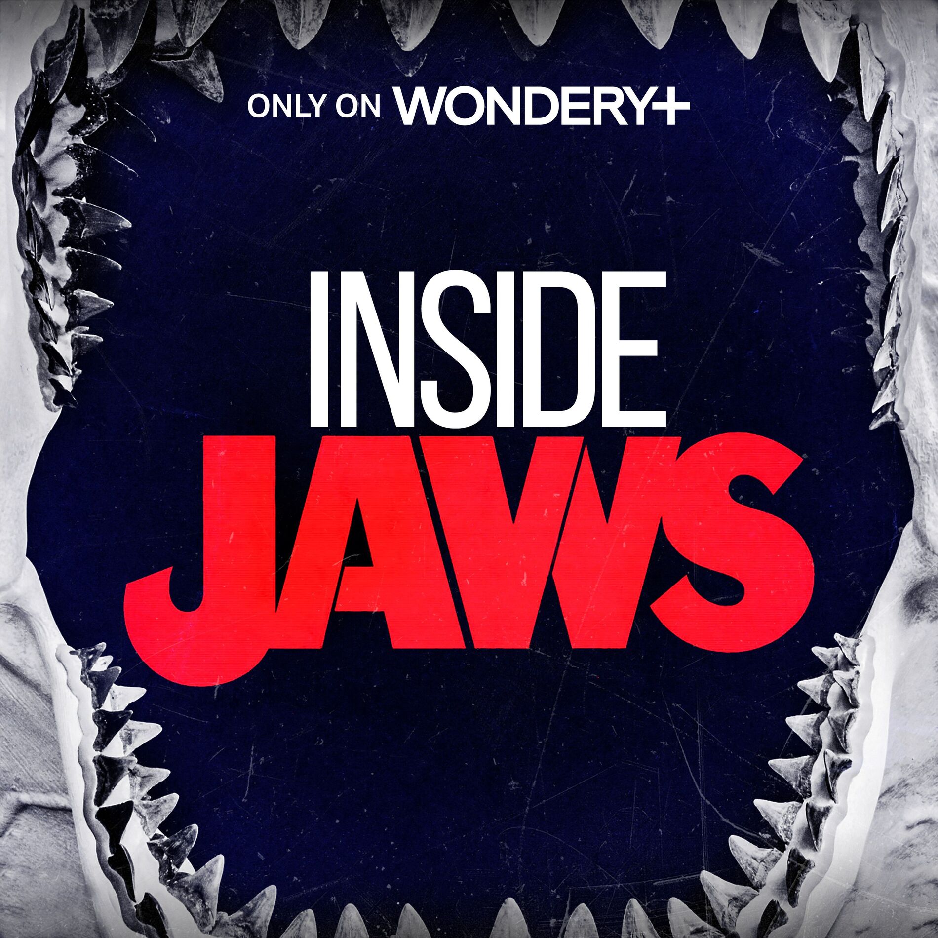 Show cover of Inside Jaws
