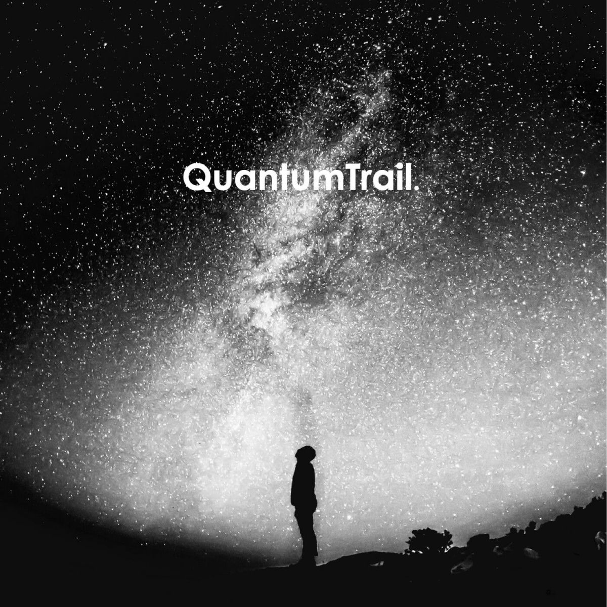 Show cover of Agir dans l’invisible pour activer sa puissance - QuantumTrail