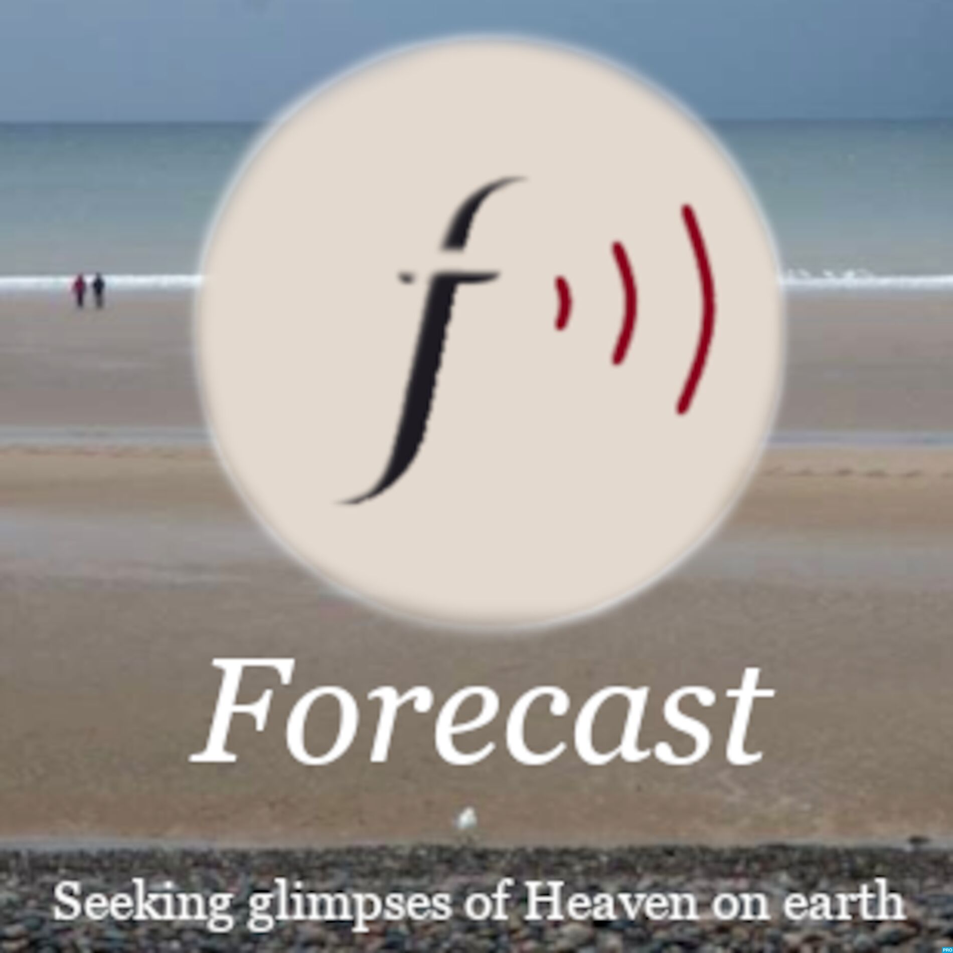 Show cover of Forecast