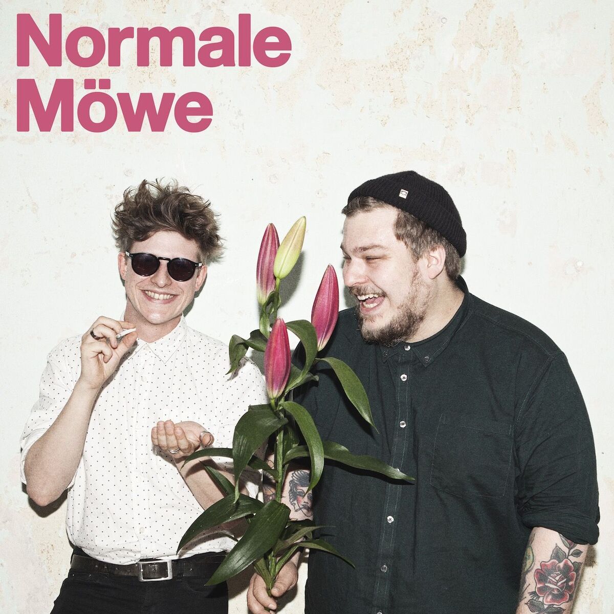 Show cover of NORMALE MÖWE
