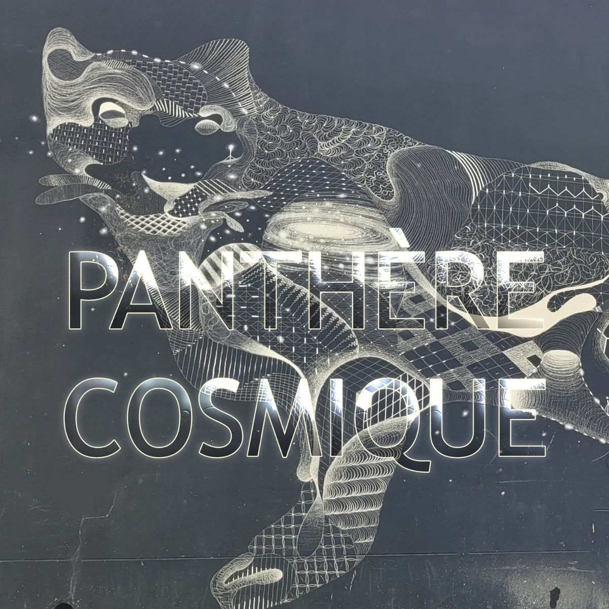 Show cover of Panthère cosmique