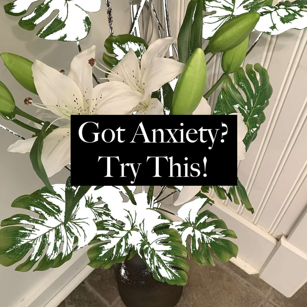 Show cover of Got Anxiety? Try This!