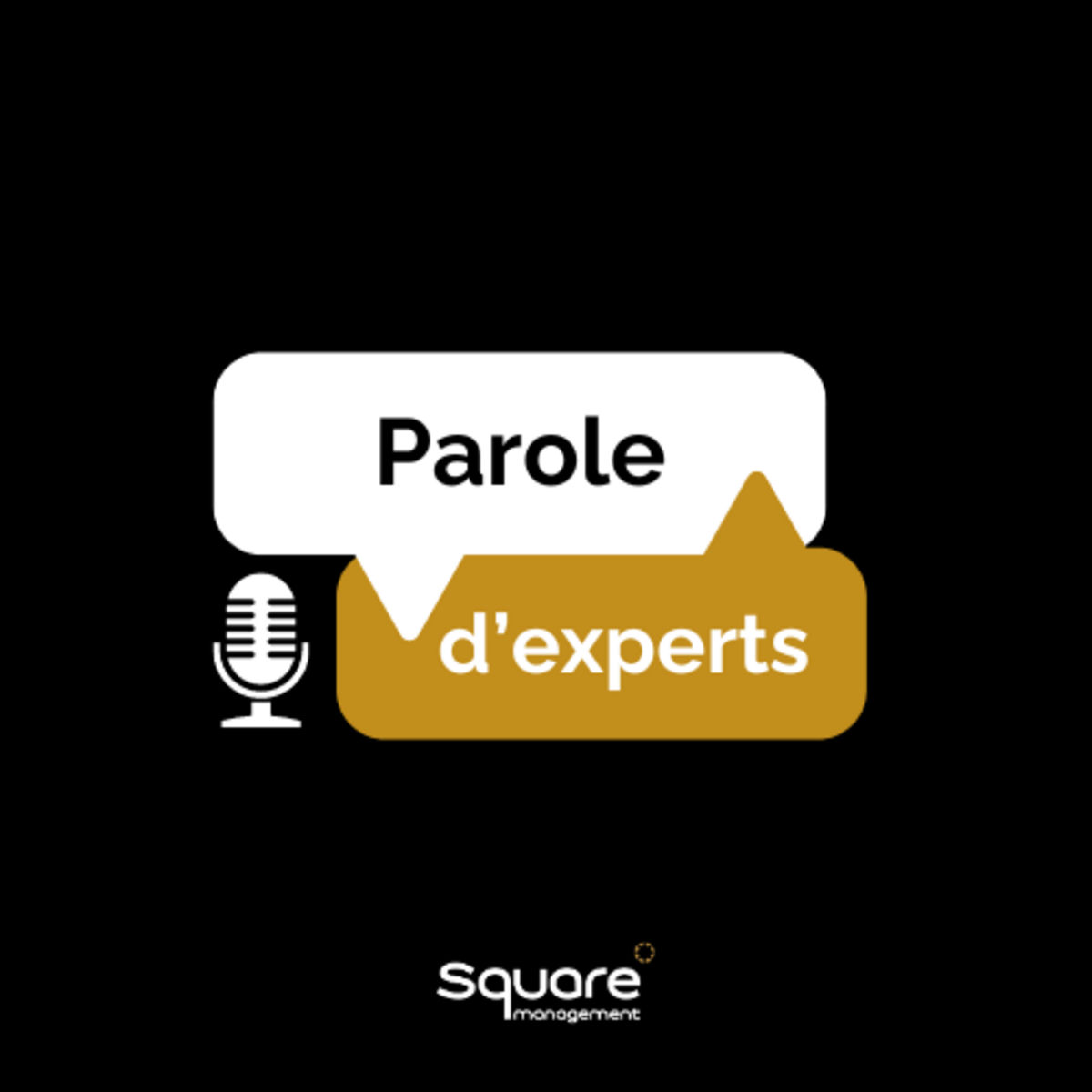Show cover of Parole d'Experts