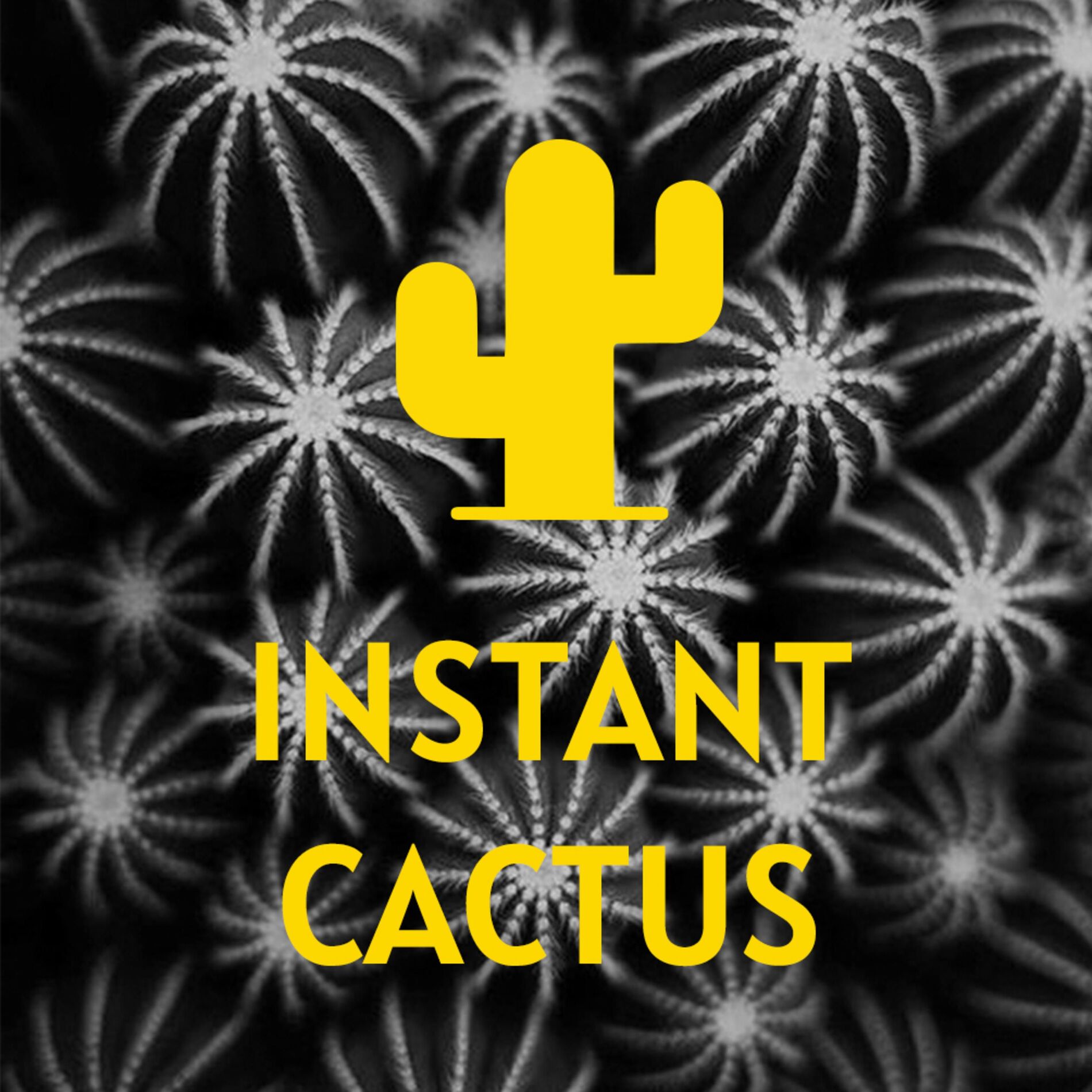 Show cover of Instant Cactus
