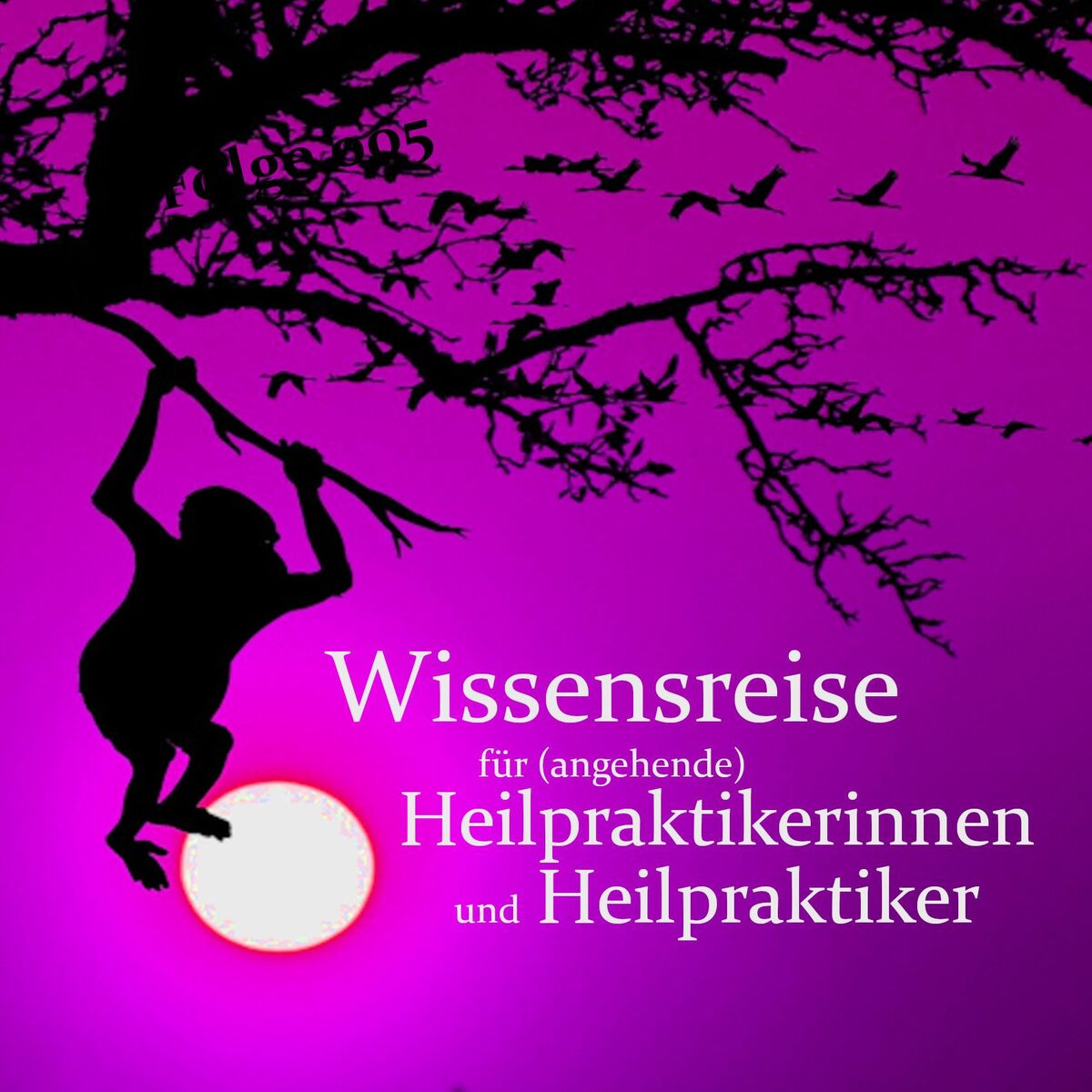 Show cover of Wissensreise für (angehende) Heilpraktikerinnen und Heilpraktiker