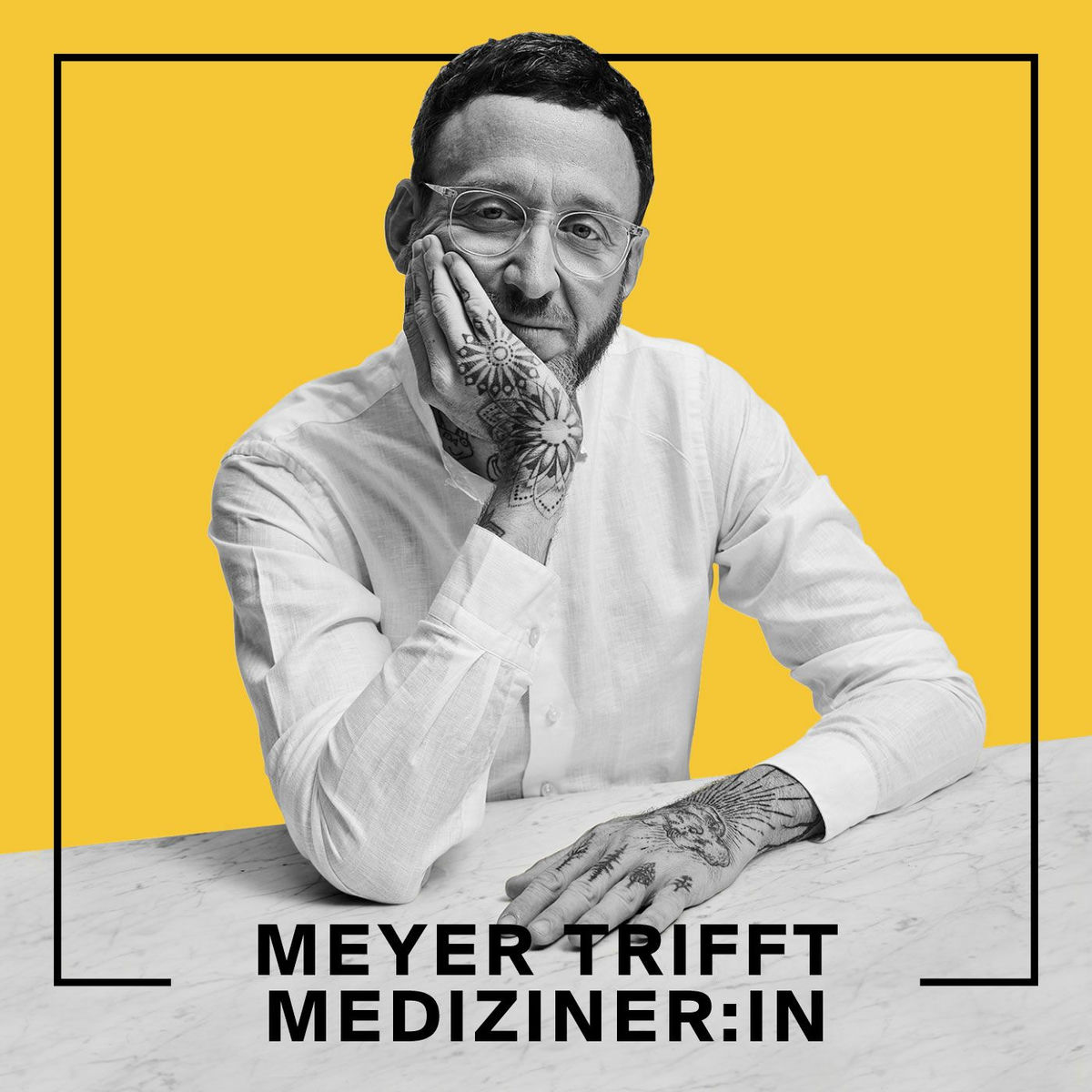 Show cover of Meyer trifft Mediziner:in