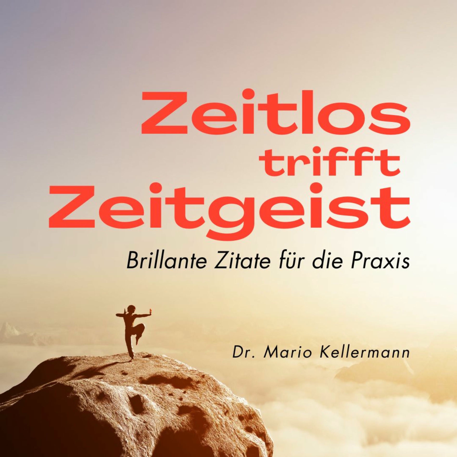 Show cover of Zeitlos trifft Zeitgeist – Brillante Zitate für die Praxis