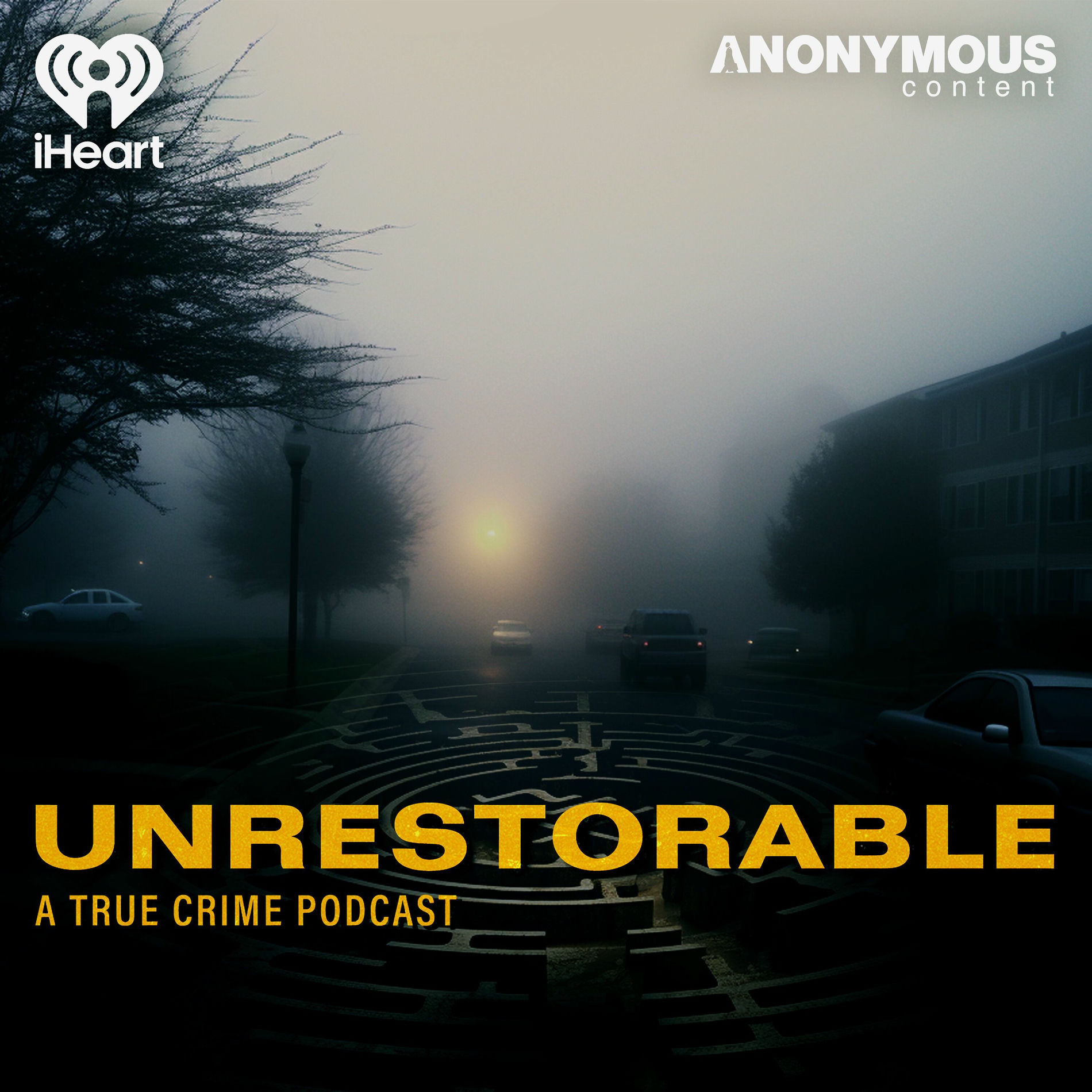 Show cover of Unrestorable
