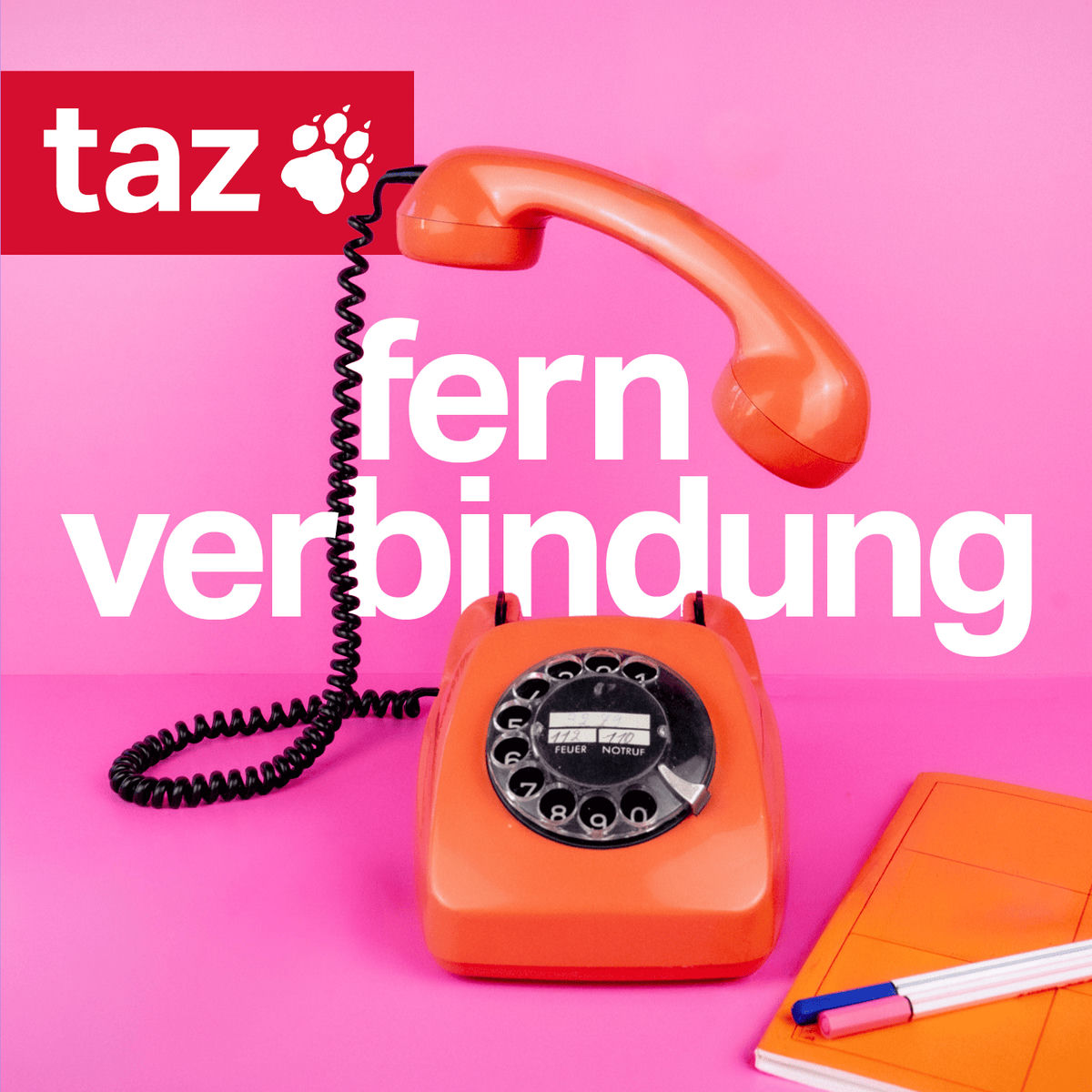 Show cover of Fernverbindung - Der Auslands-Podcast der taz
