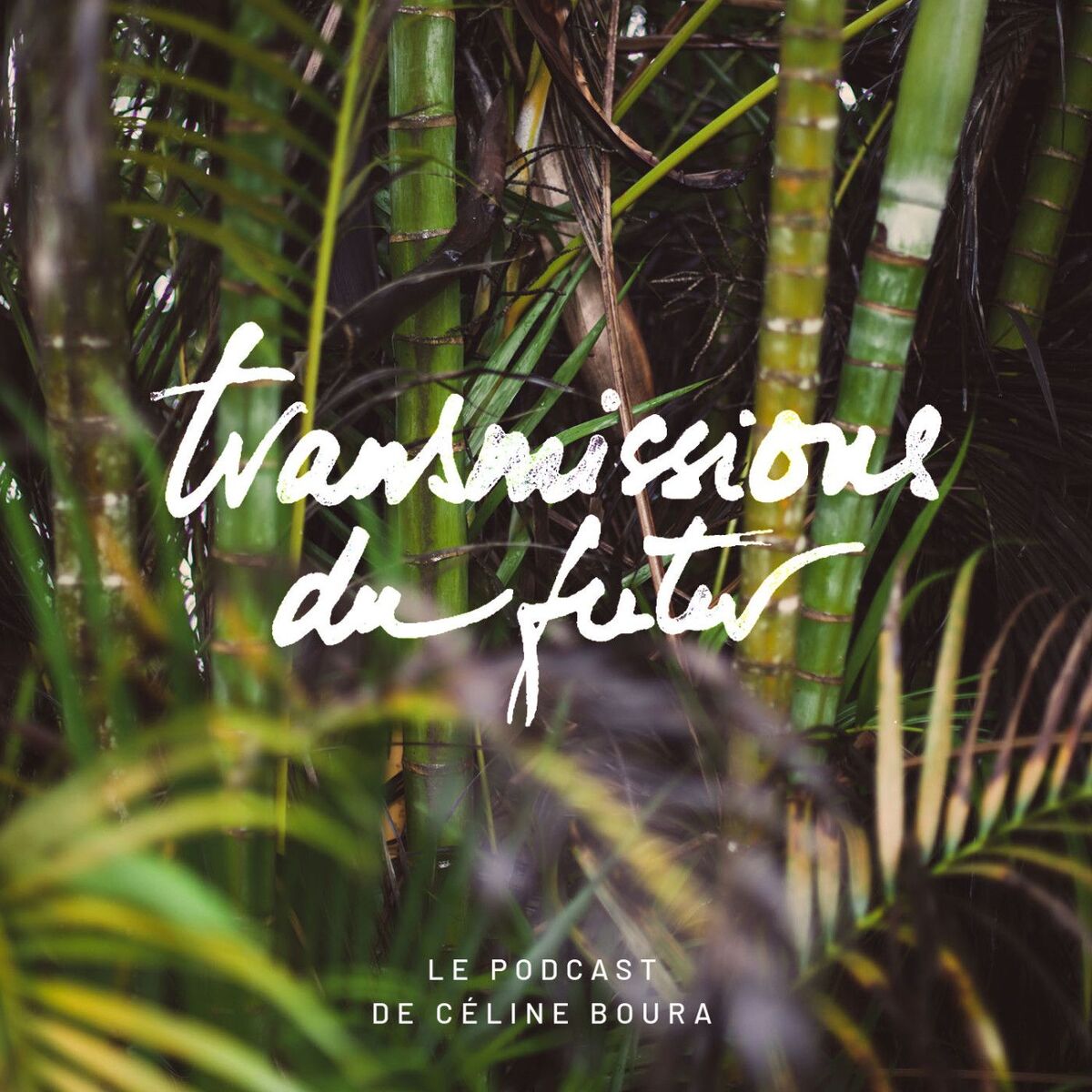 Show cover of Transmissions du futur