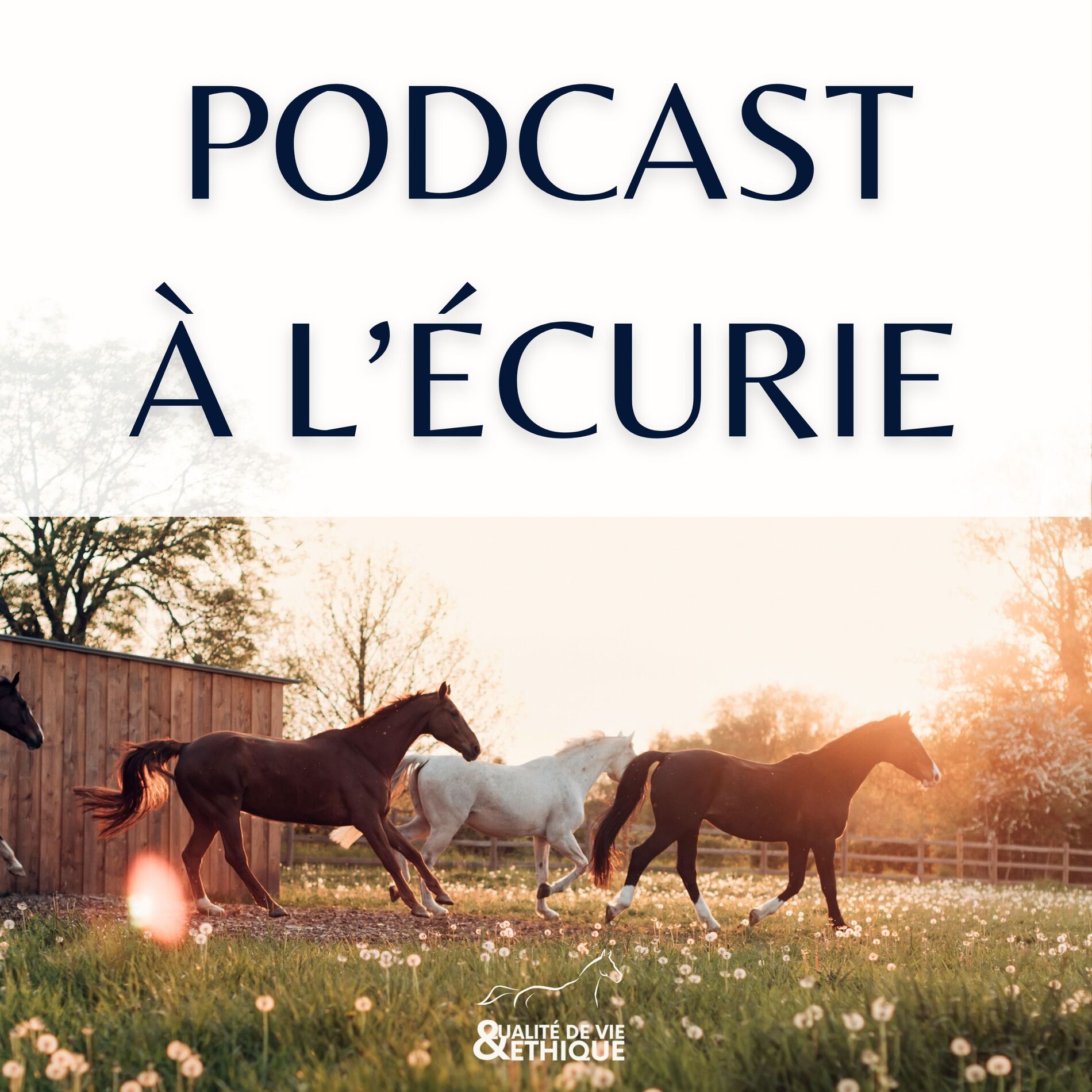 Show cover of Podcast à l'écurie
