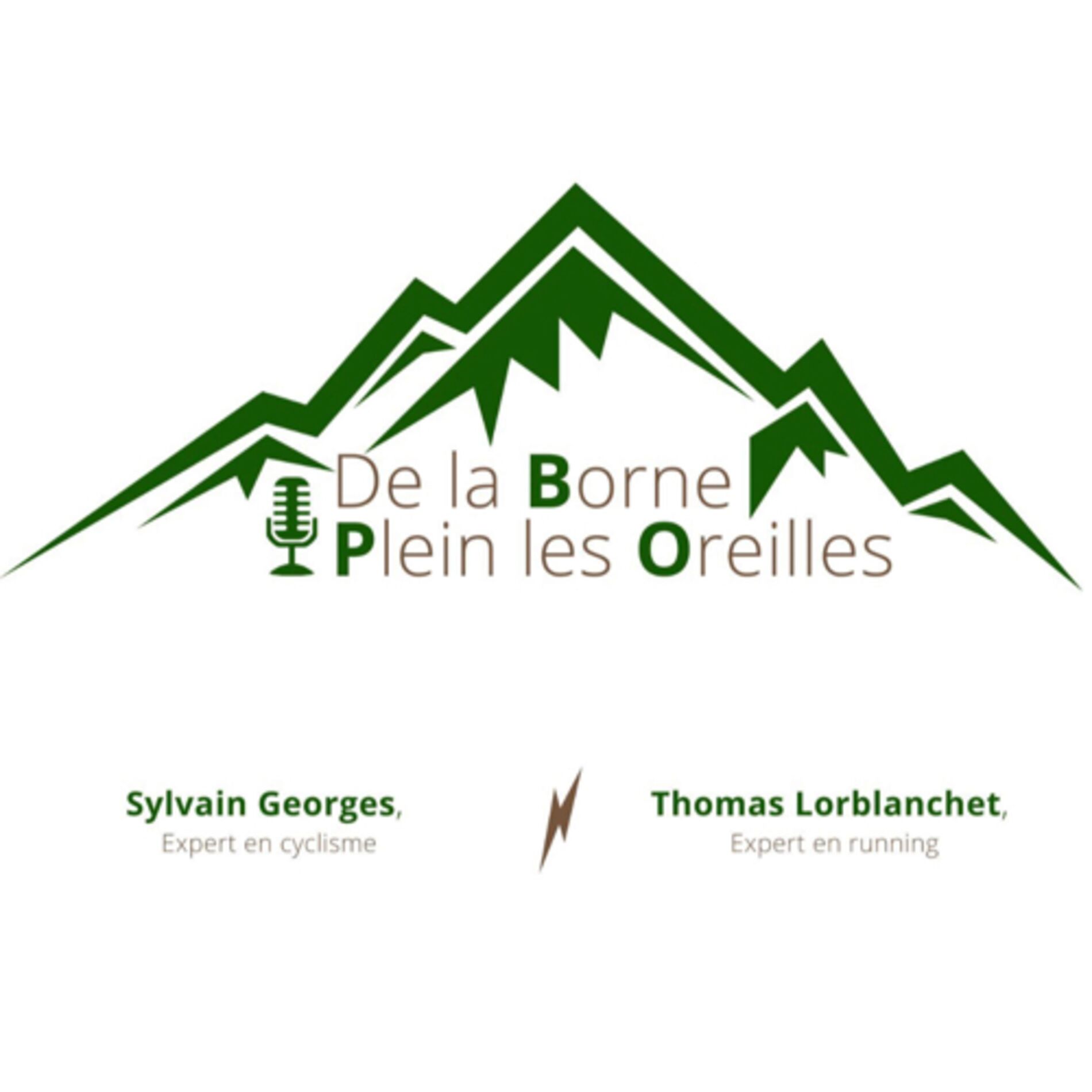 Show cover of De la borne plein les oreilles