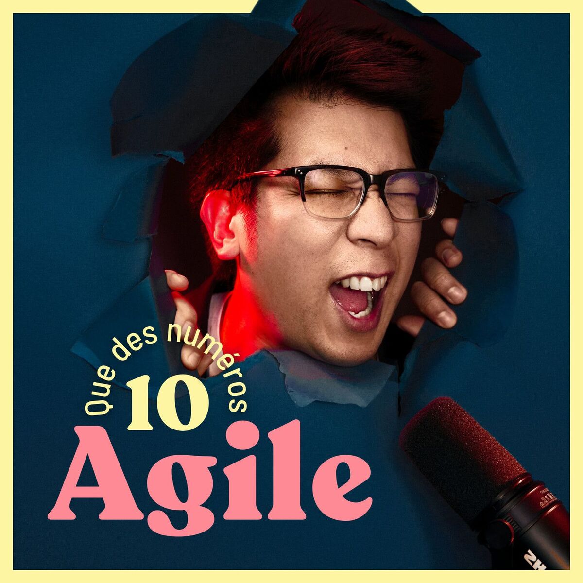 Show cover of Que des numéros 10 Agile