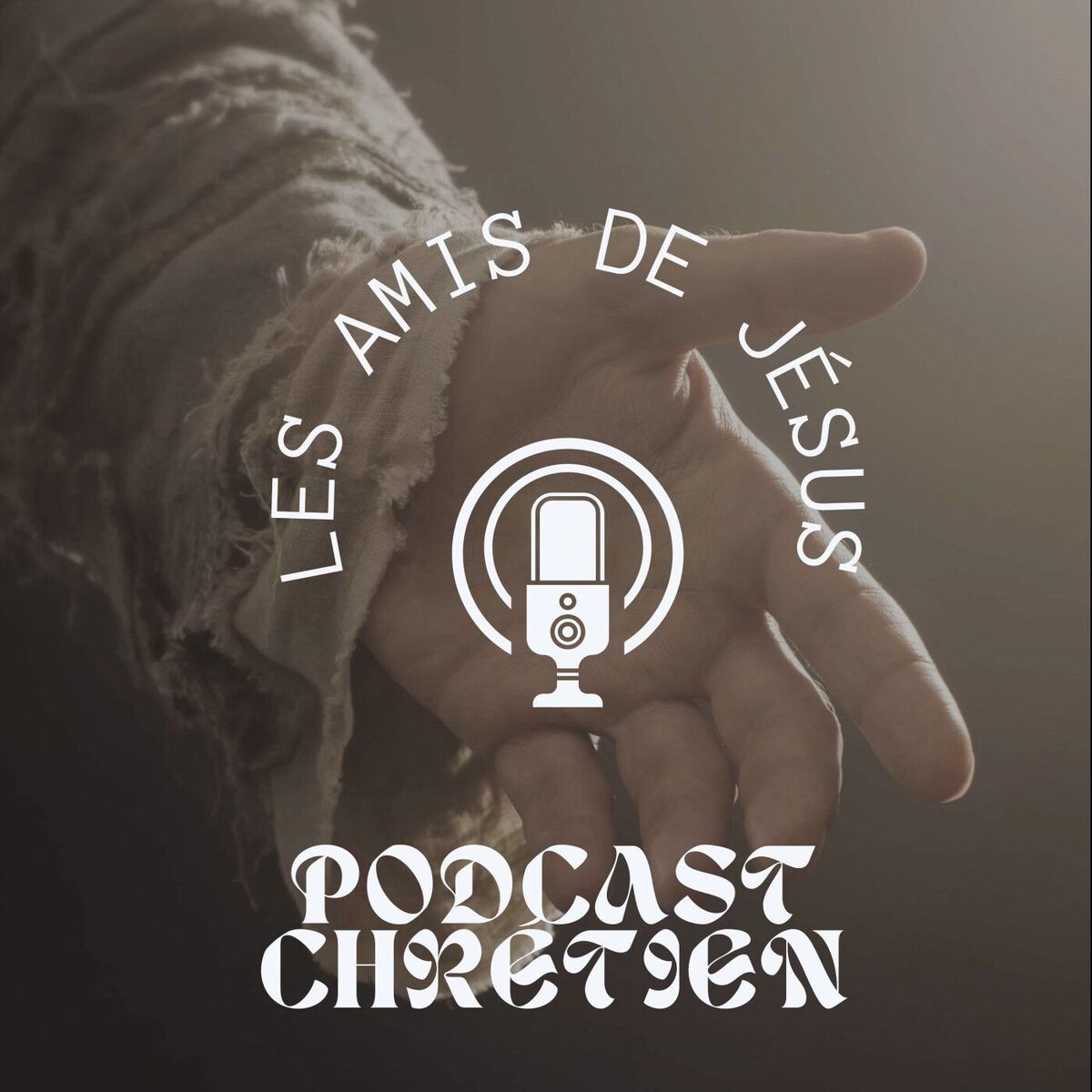 Show cover of Les amis de jésus