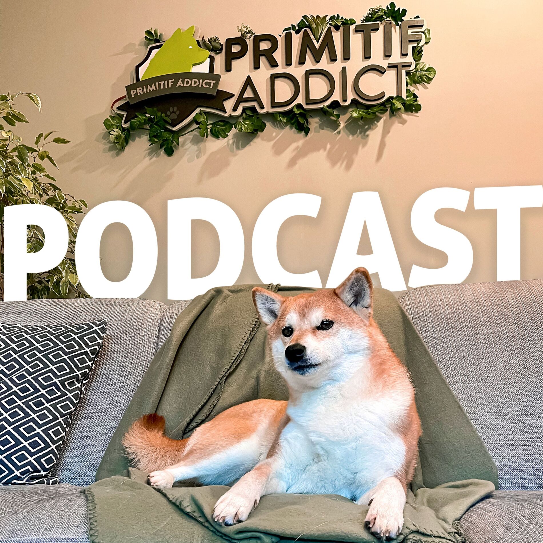 Show cover of Primitif Addict Le Podcast pour comprendre ton chien