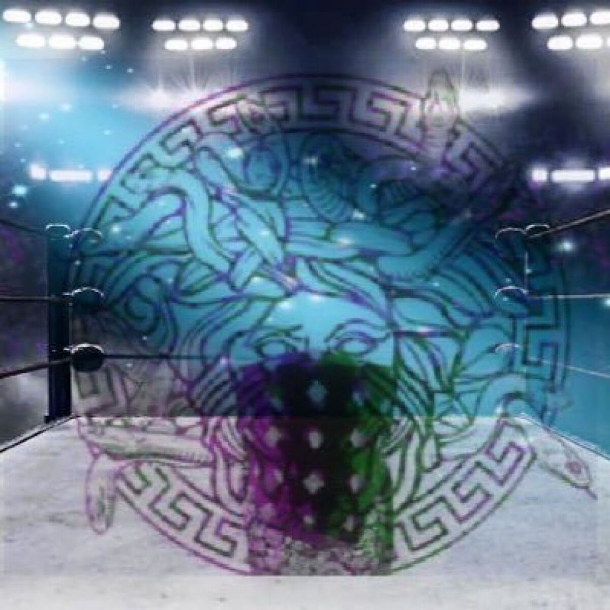 Show cover of The VSW