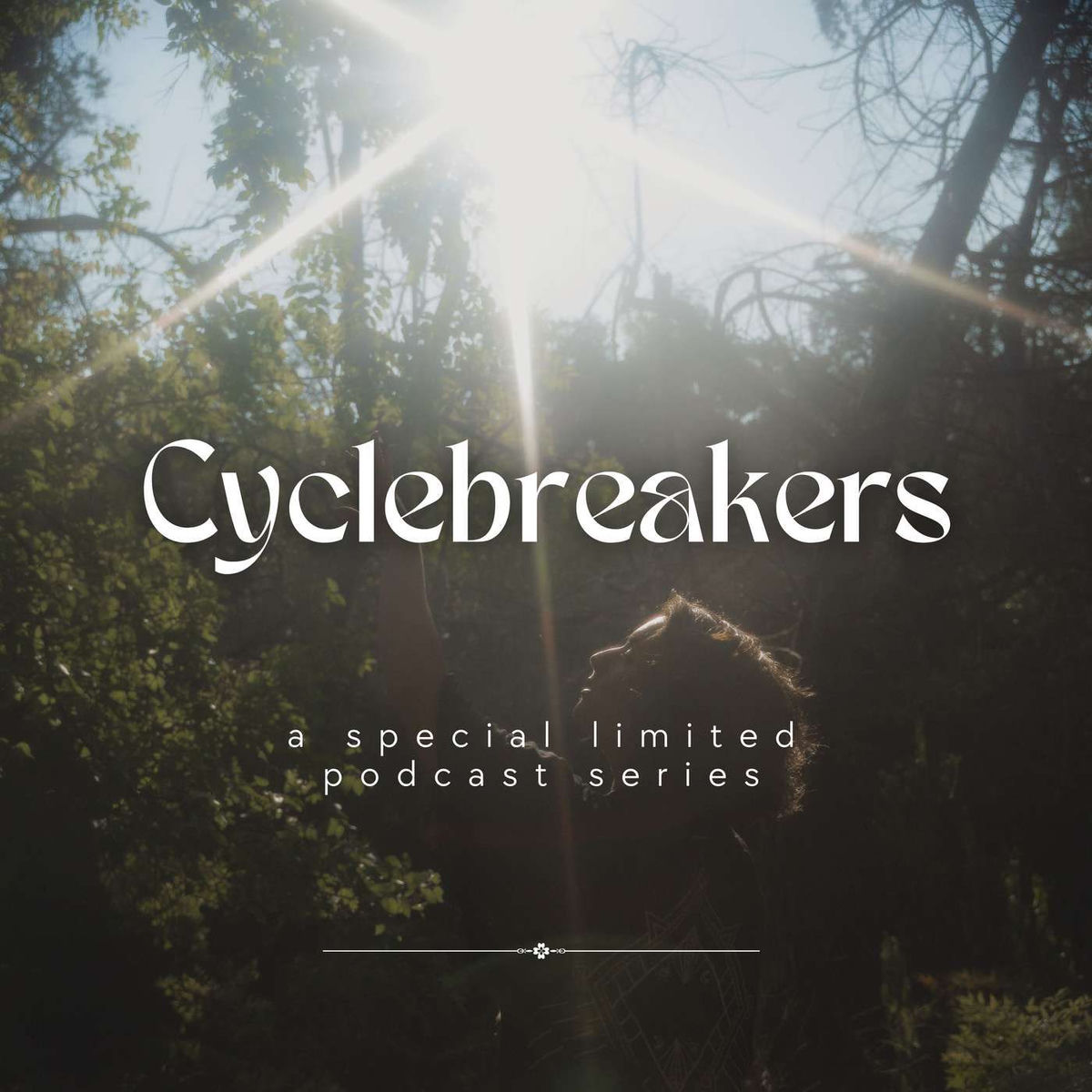 Show cover of Cyclebreakers