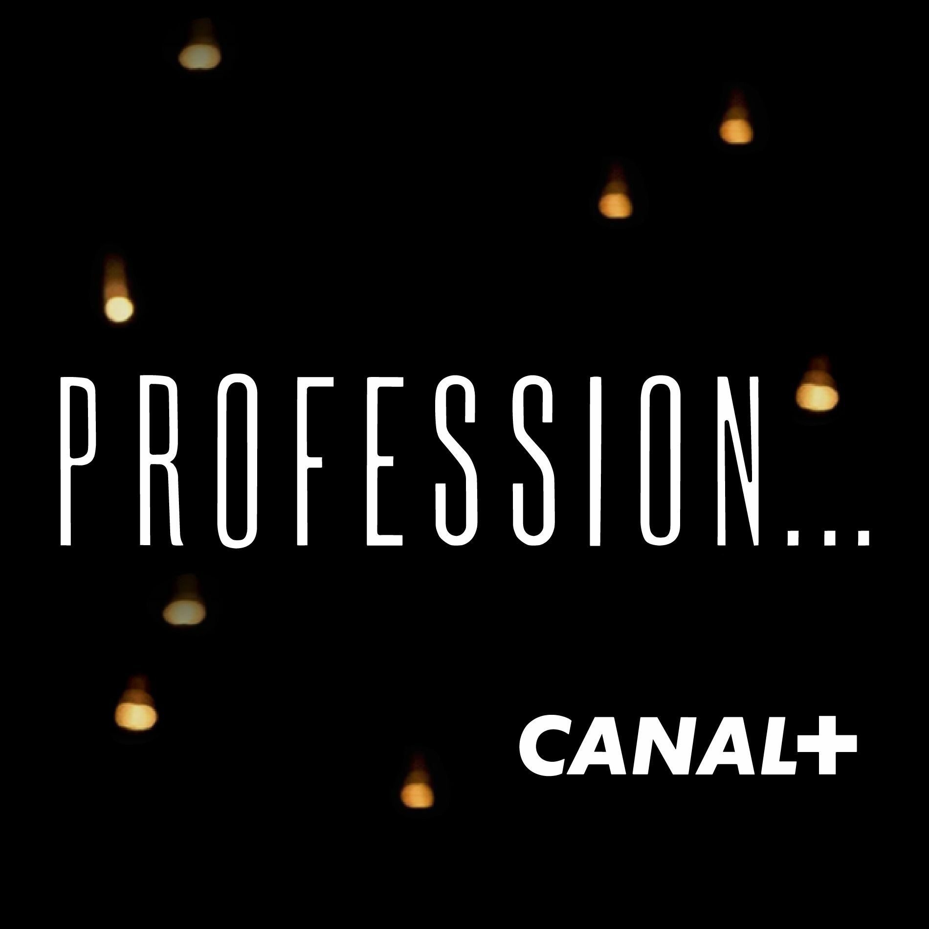 Show cover of Profession