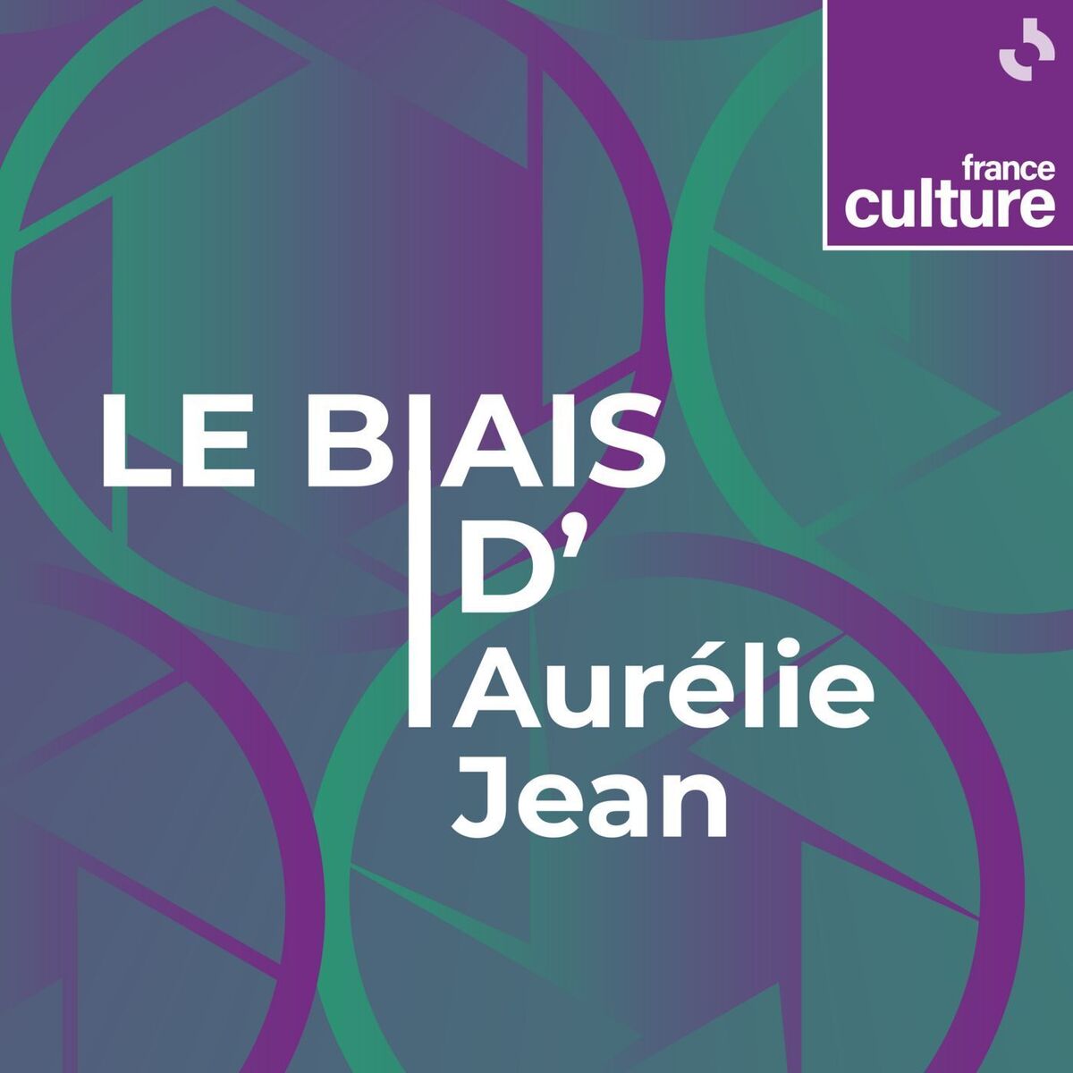 Show cover of Le Biais d'Aurélie Jean