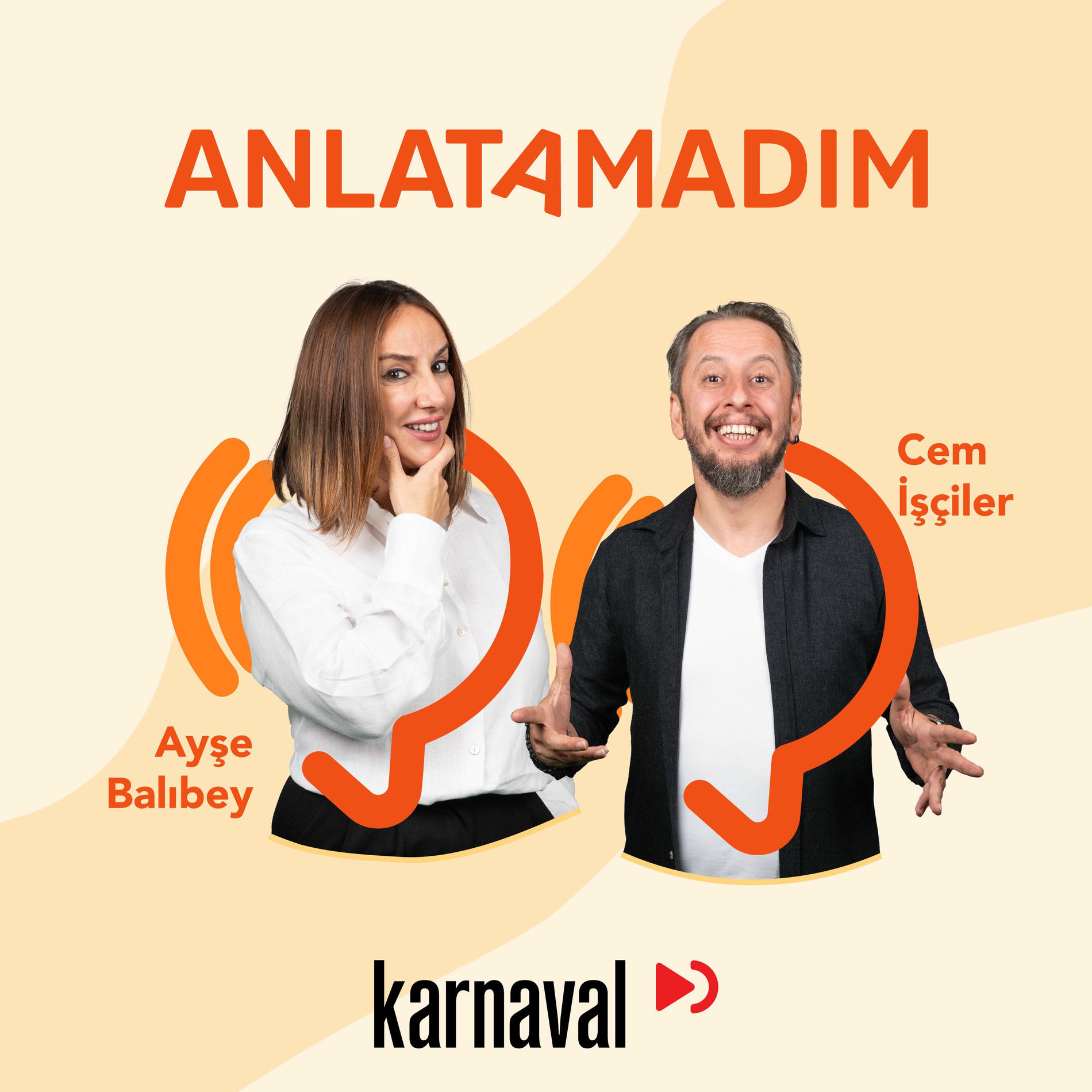 Show cover of Anlatamadım