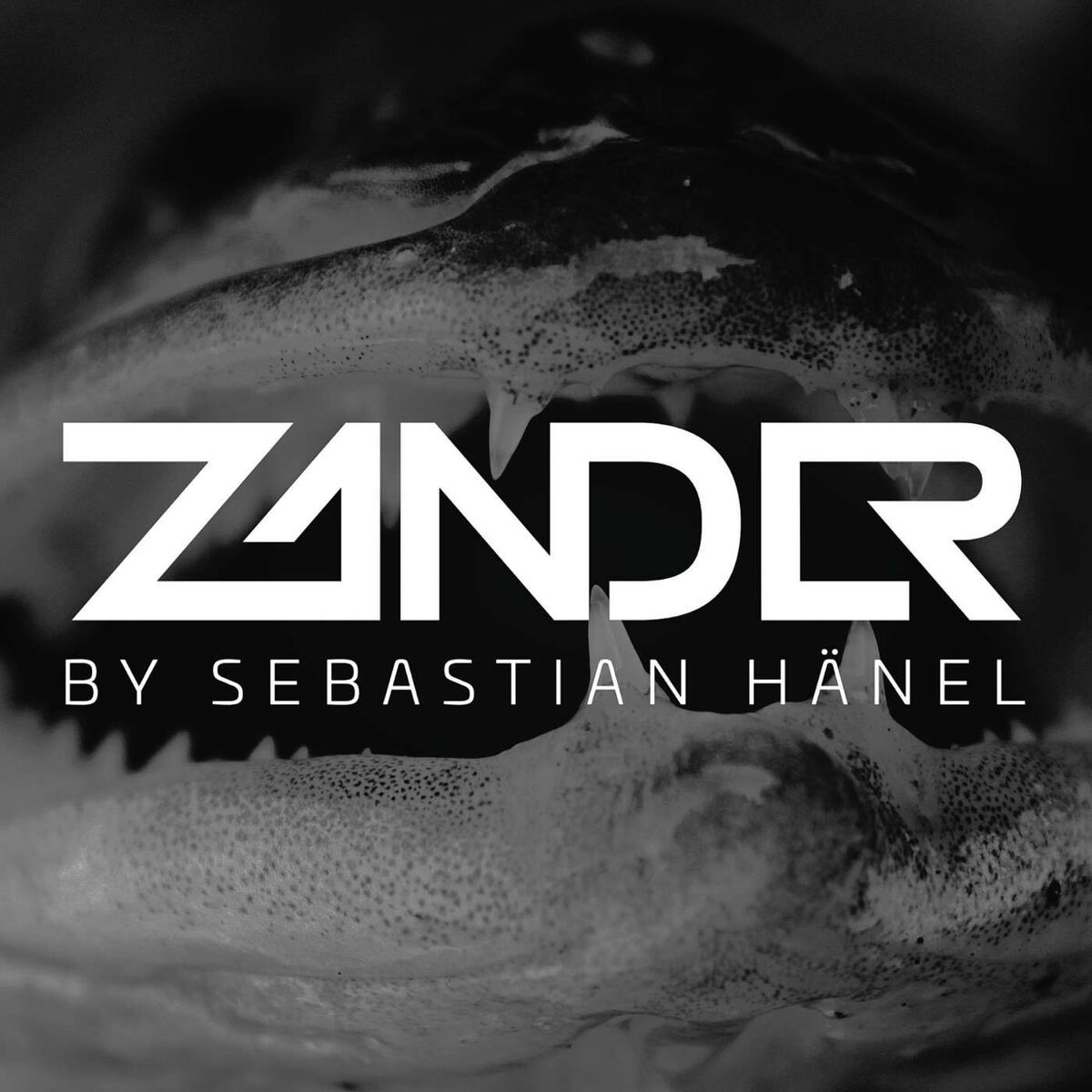 Show cover of Der Zander Podcast von Sebastian Hänel