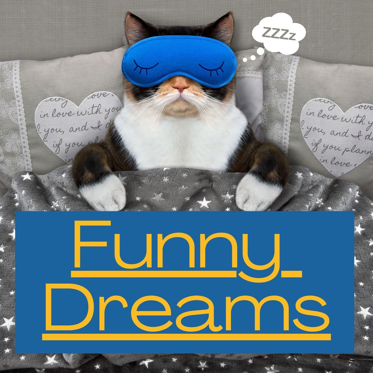 Show cover of Funny Dreams
