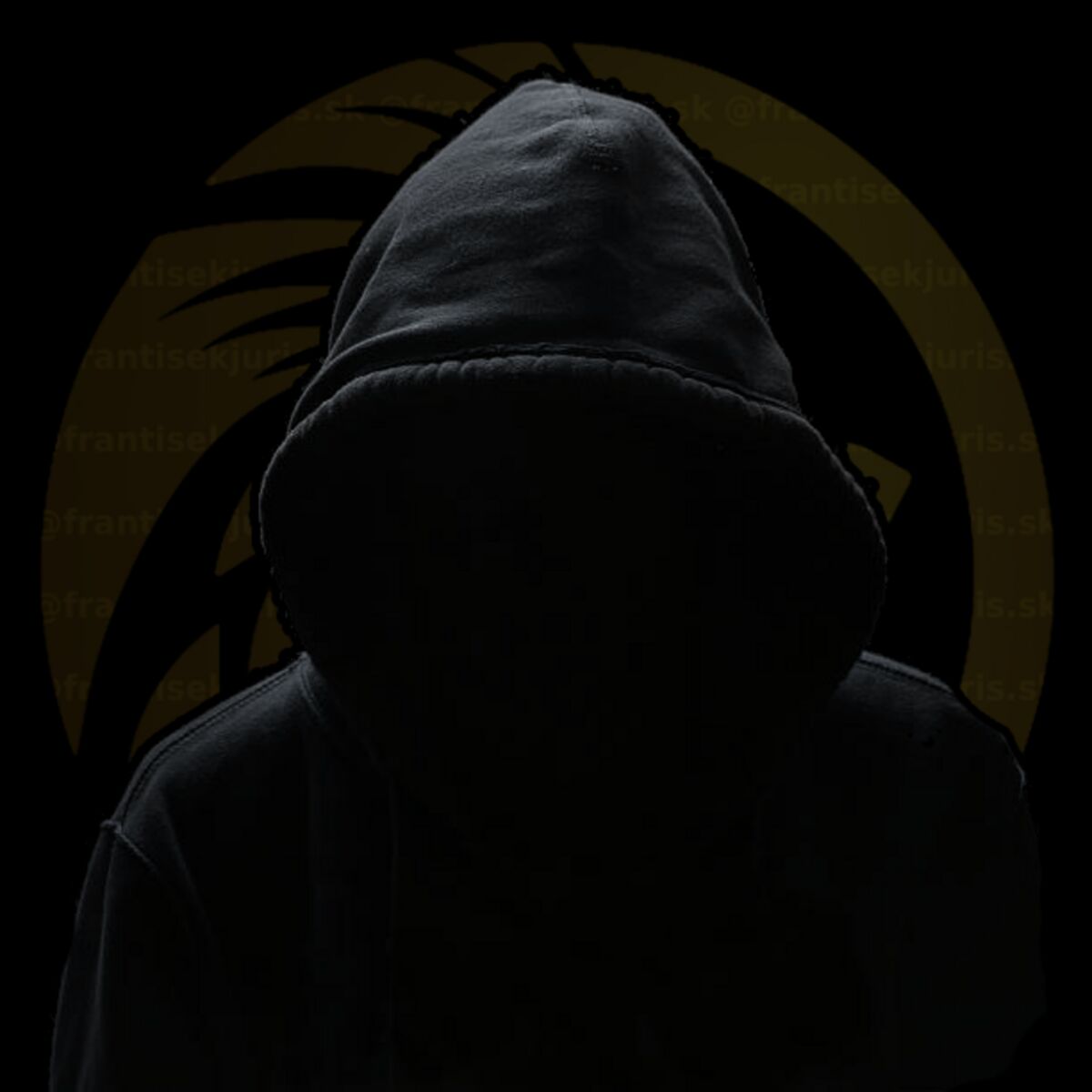 Show cover of FJUNIVERSE.COM