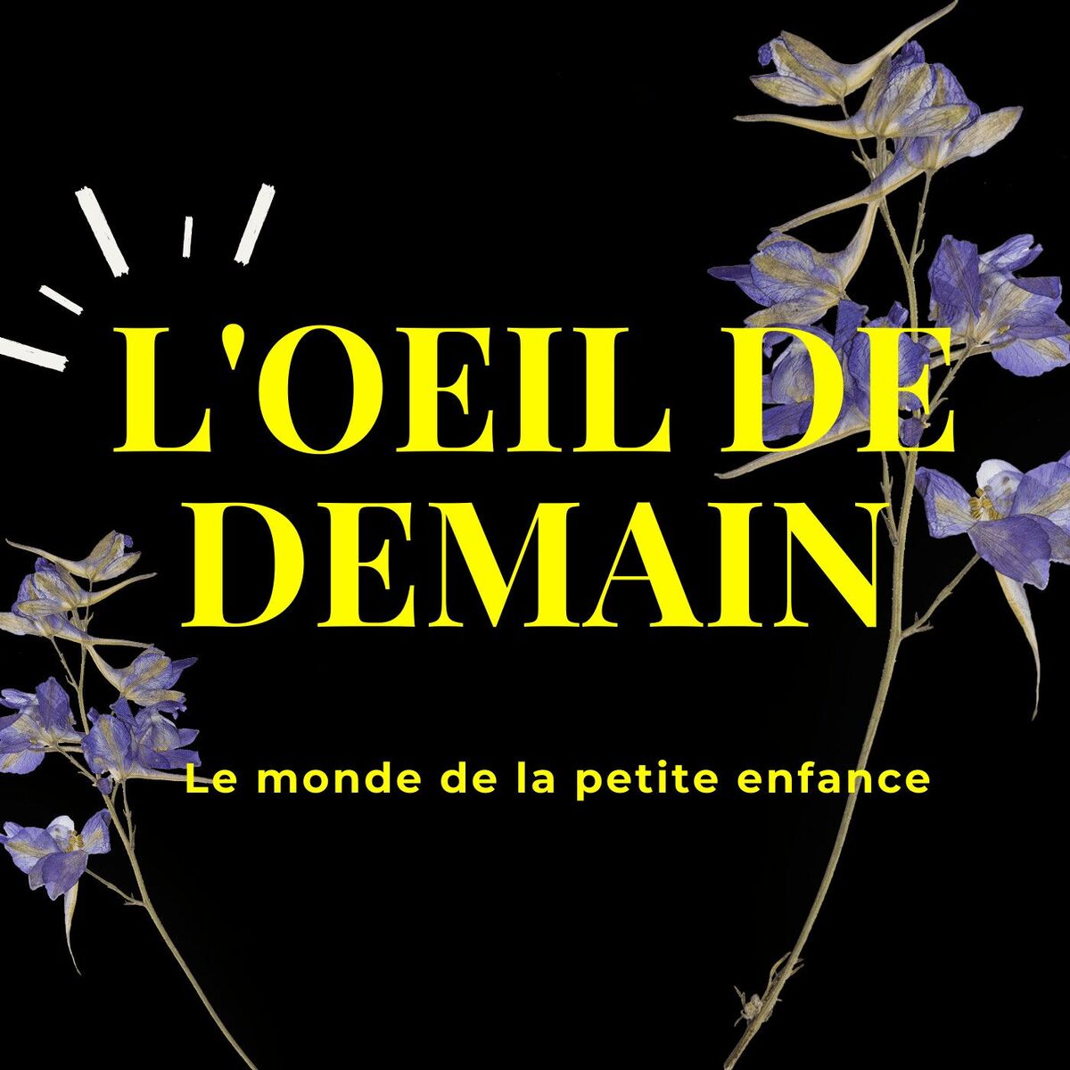 Show cover of L'Œil De Demain