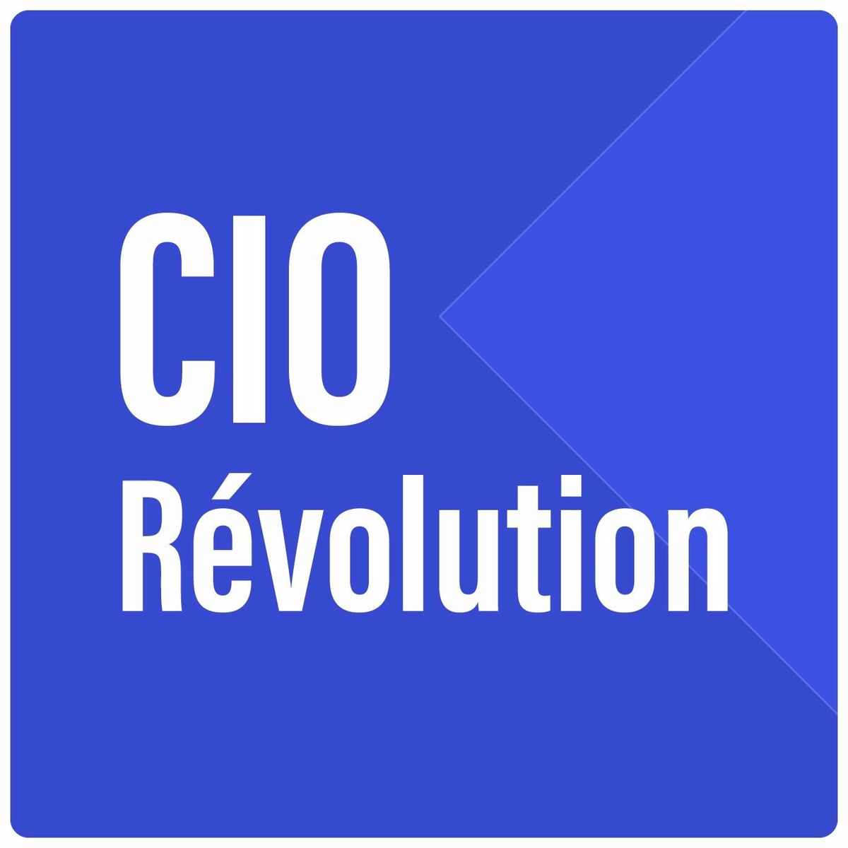 Show cover of CIO Révolution
