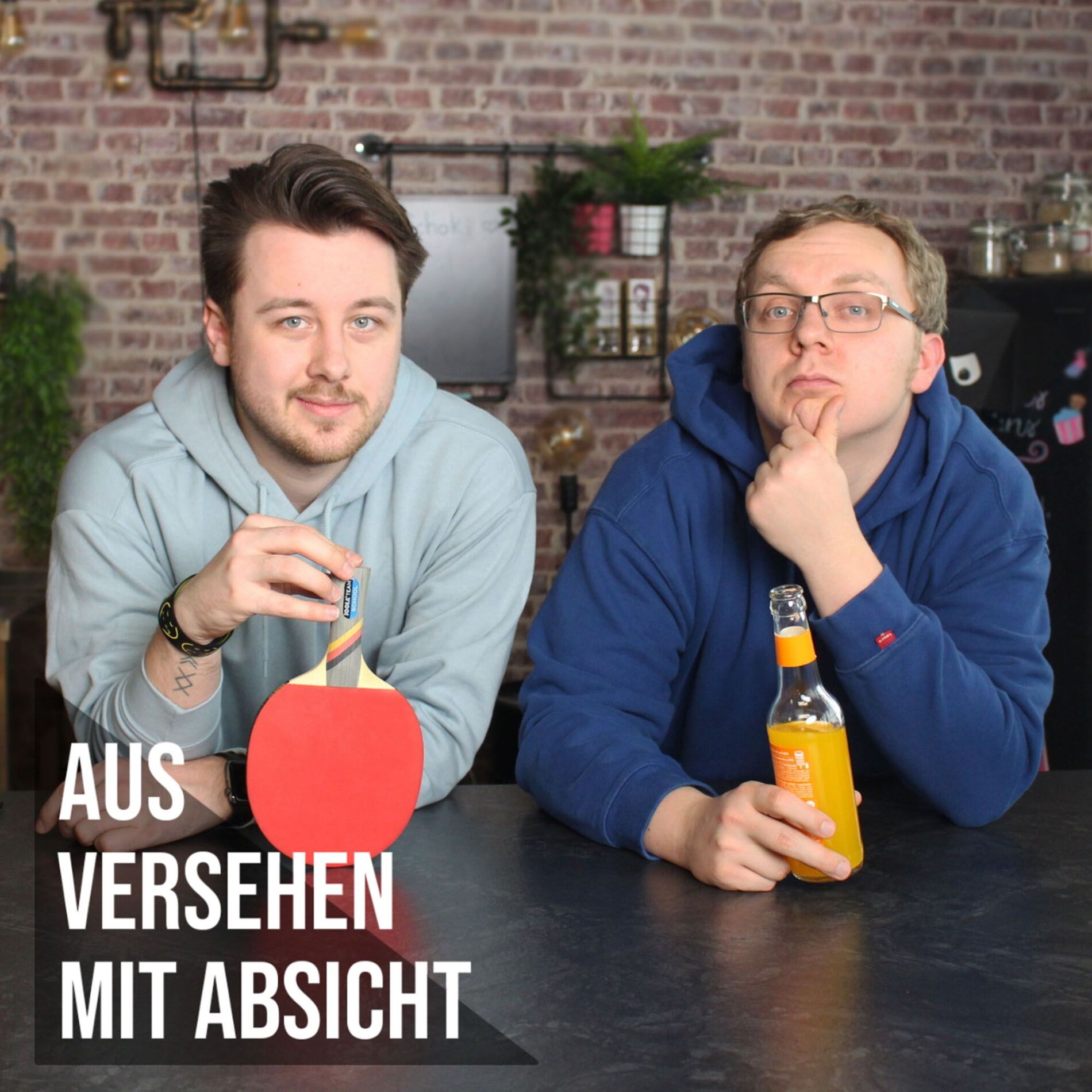 Show cover of Aus Versehen mit Absicht